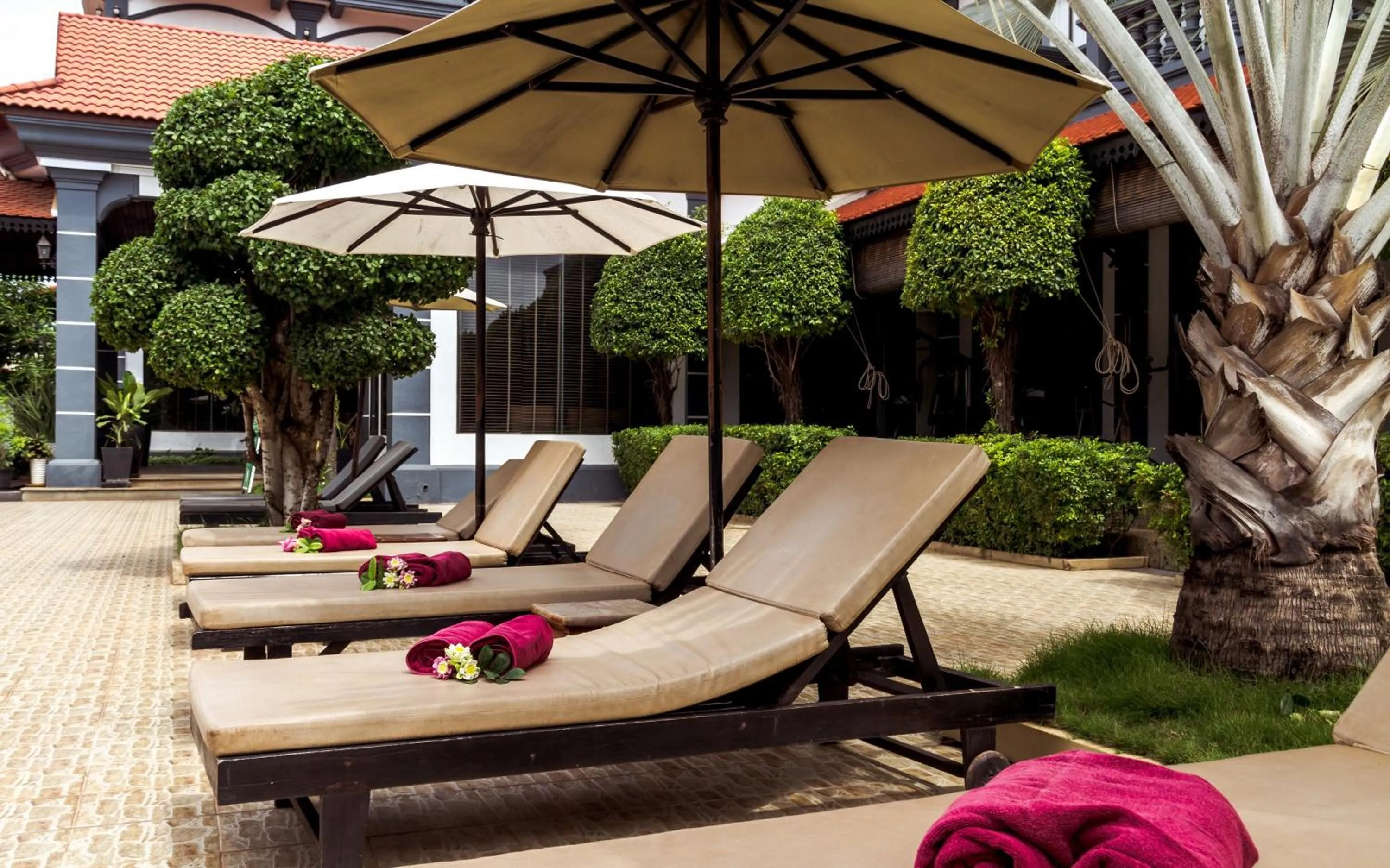 Garden in Lucky Angkor Hotel & Spa