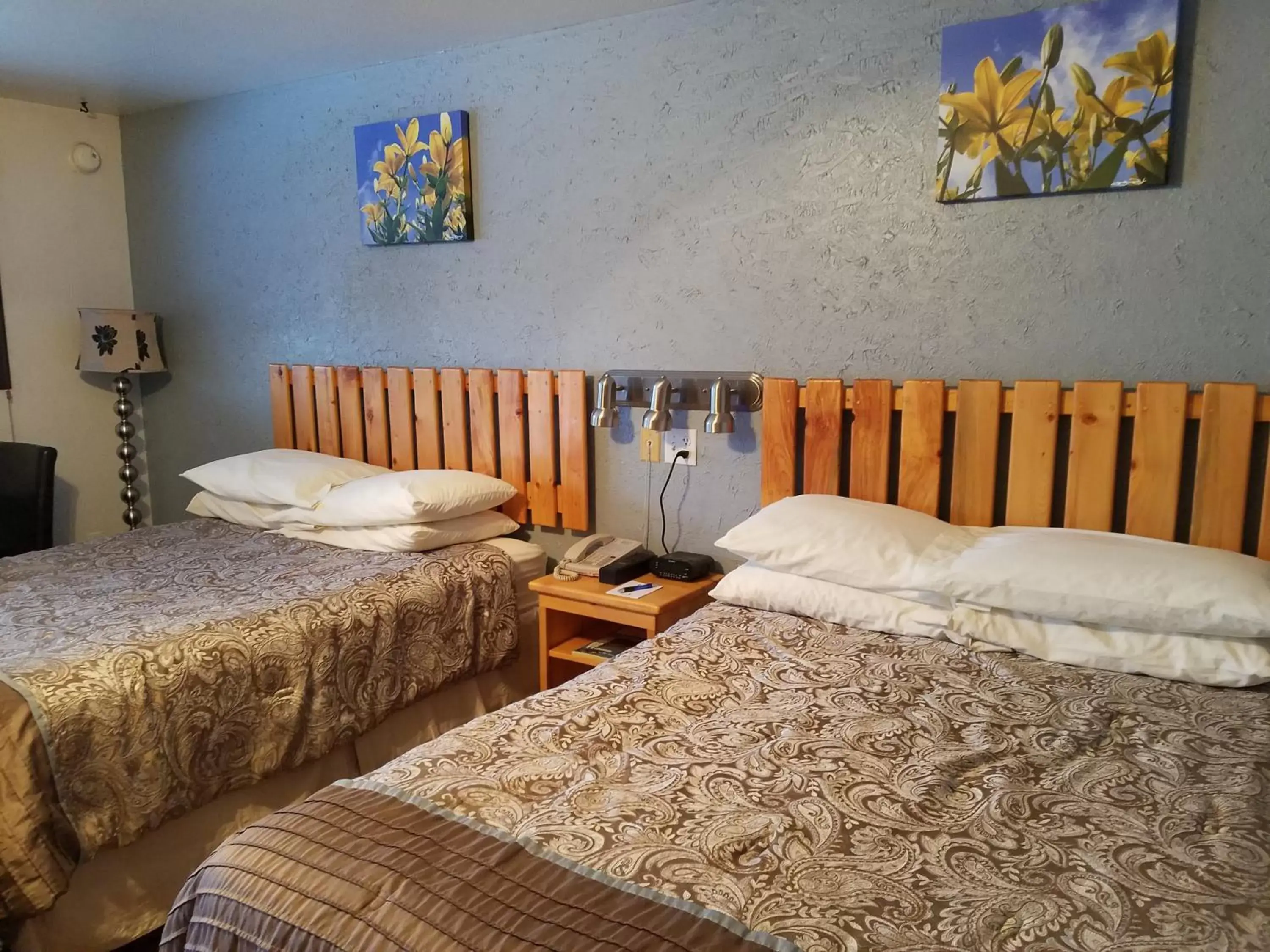 Photo of the whole room, Bed in Soldotna Inn