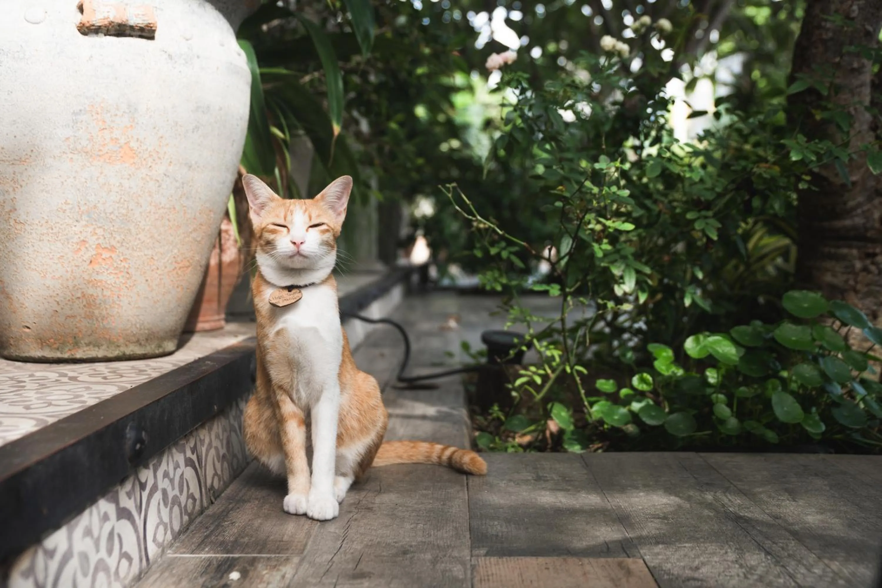 Property building in Hotel Yayee