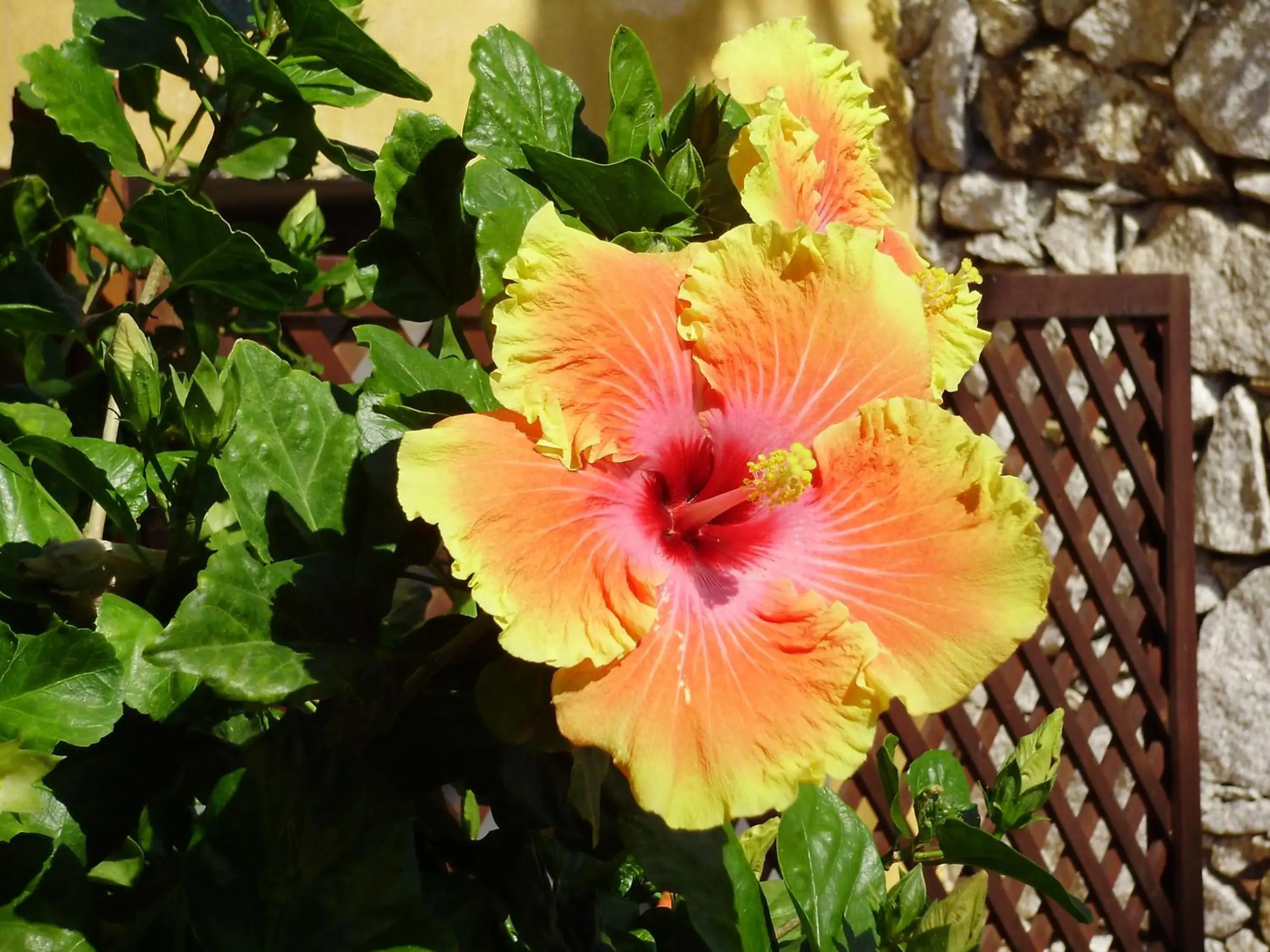 Decorative detail in Cruccùris Resort