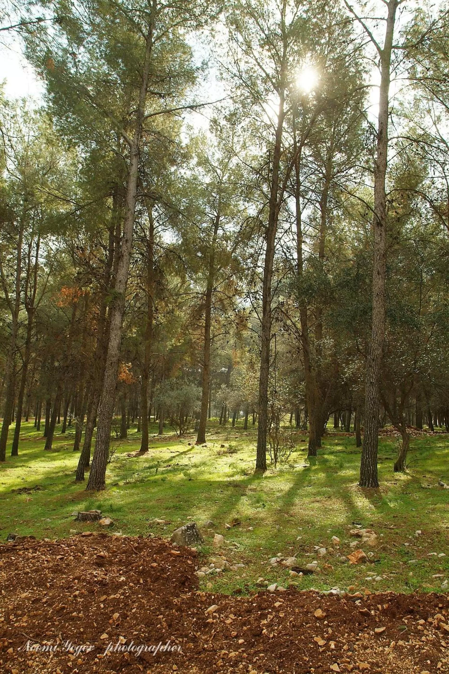 Day in Herbert Samuel Bayit Bagalil Boutique