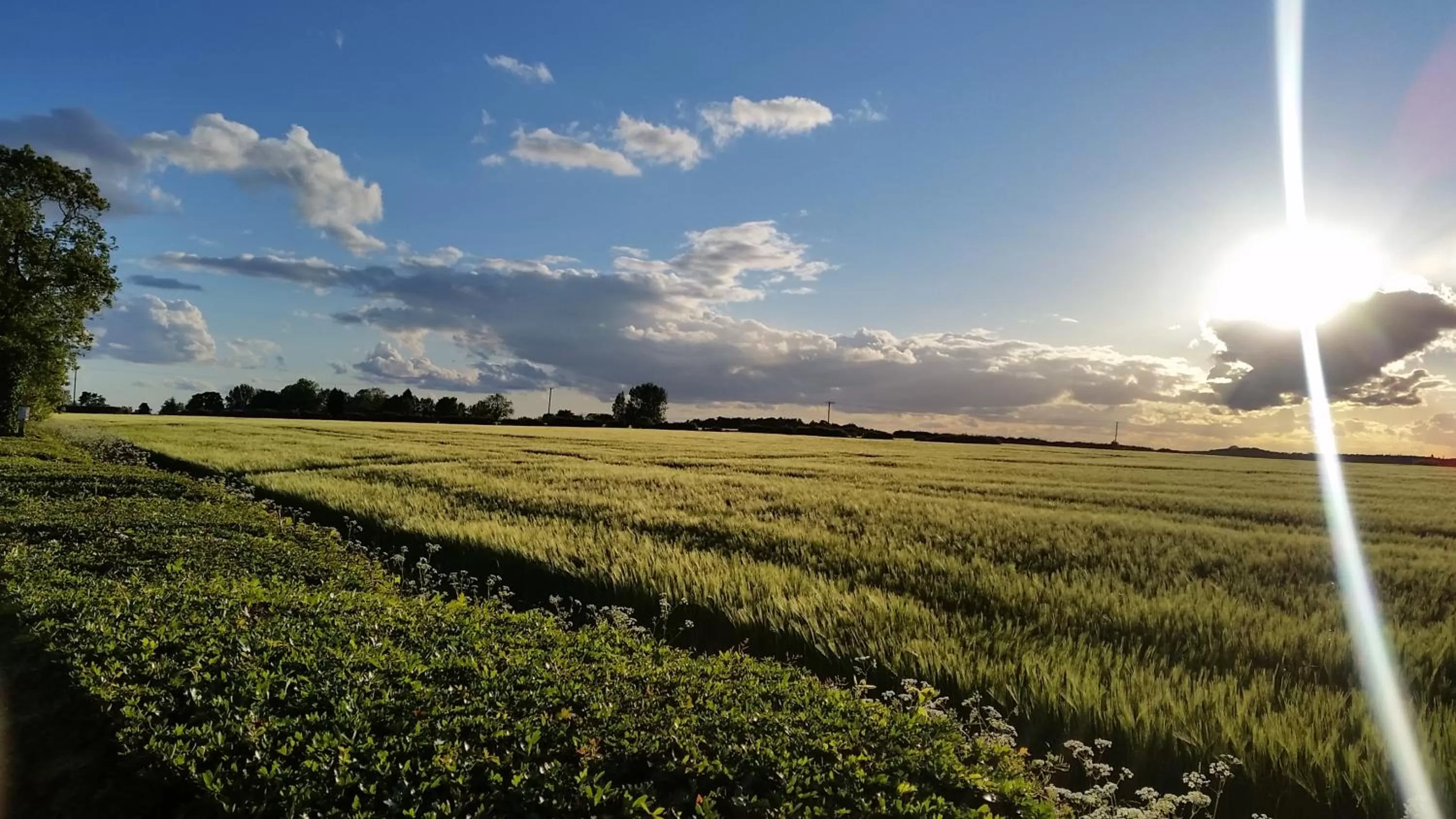 Natural landscape in The Royal Arms Bed & Breakfast