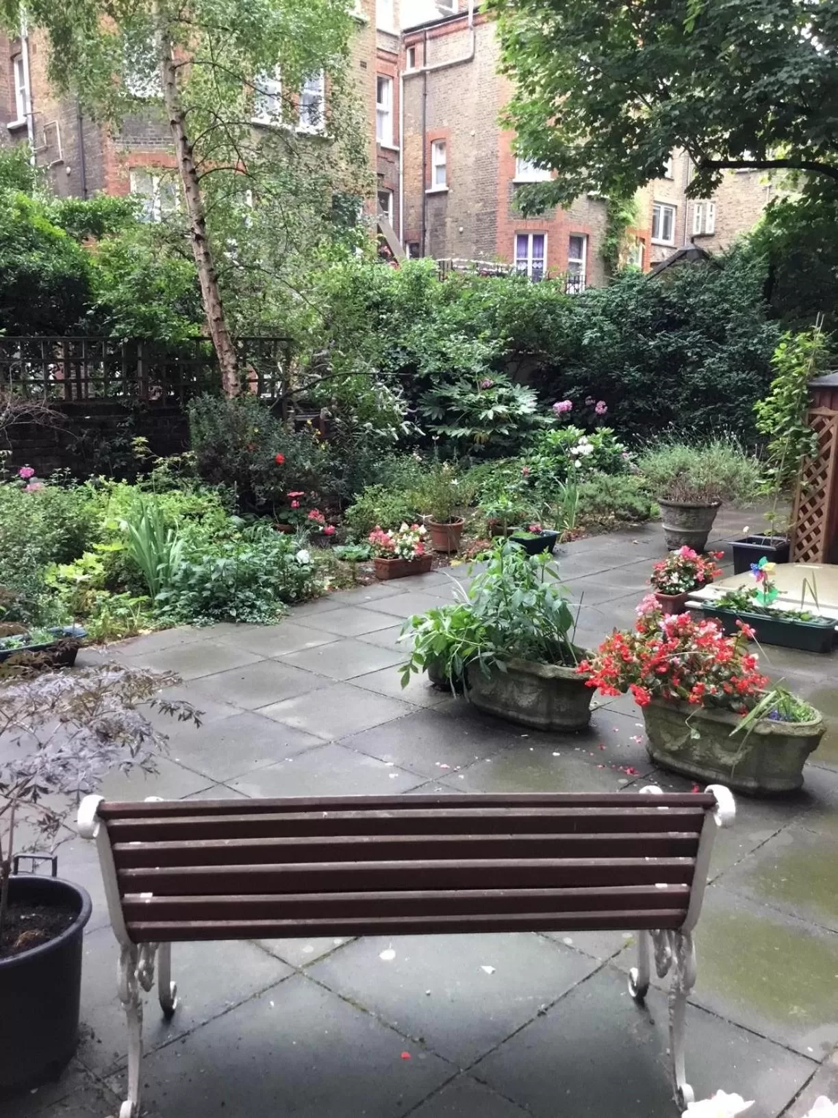 Garden view in No1 The Mansions By Mansley