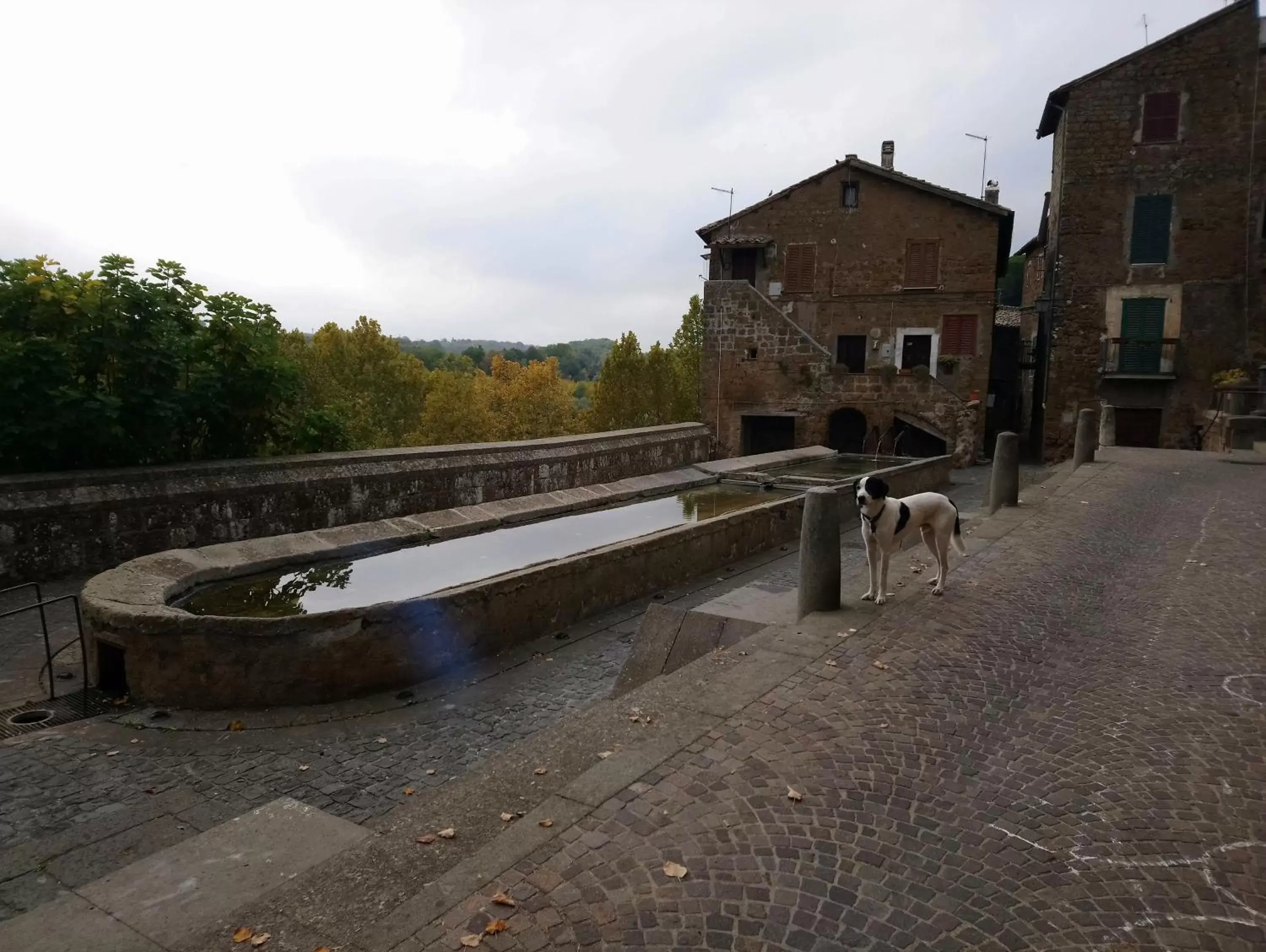 Nearby landmark in Nerone's - Sutri Bed & Dinner