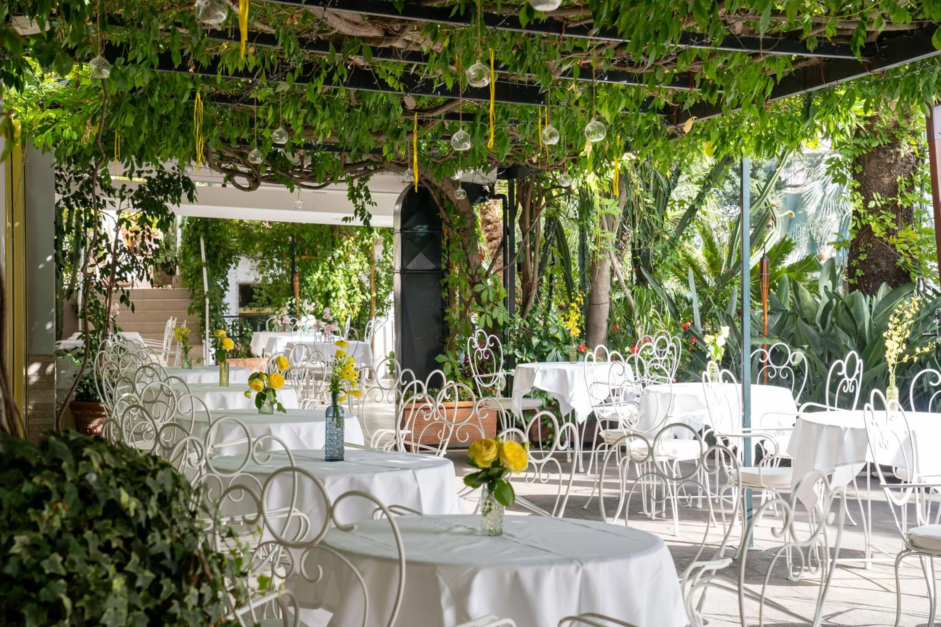 Restaurant/places to eat in Reginna Palace Hotel