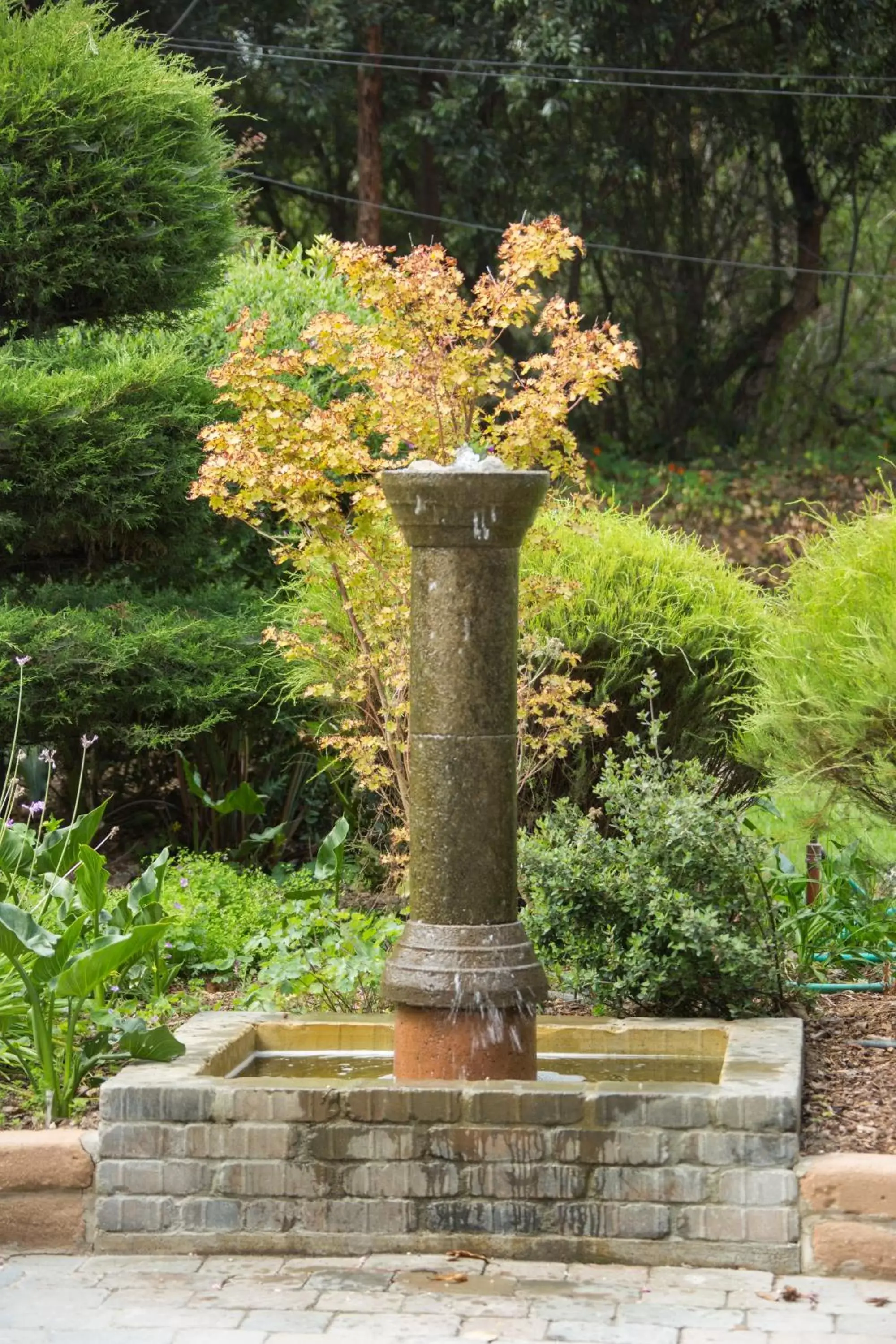 Other, Garden in Carmel River Inn