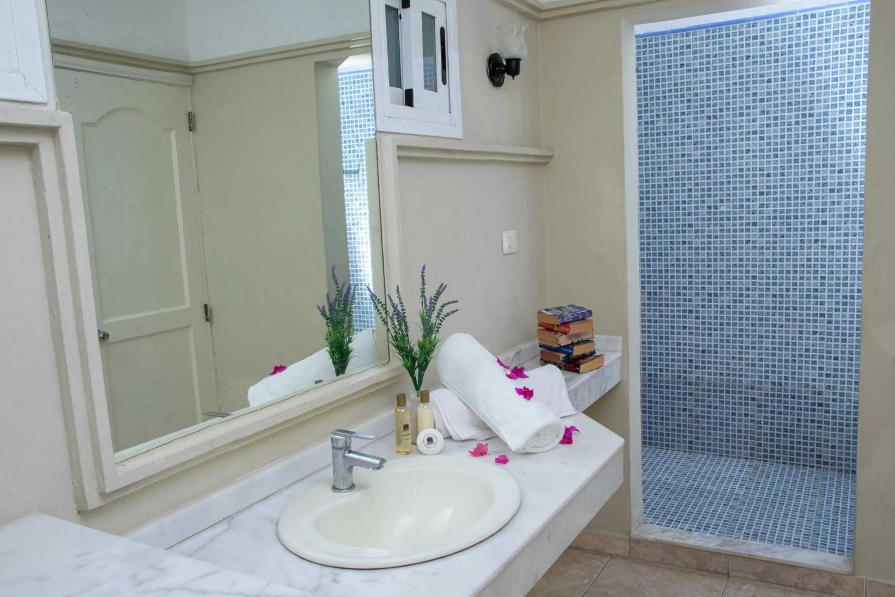 Toilet in Aparthotel Castillo Real