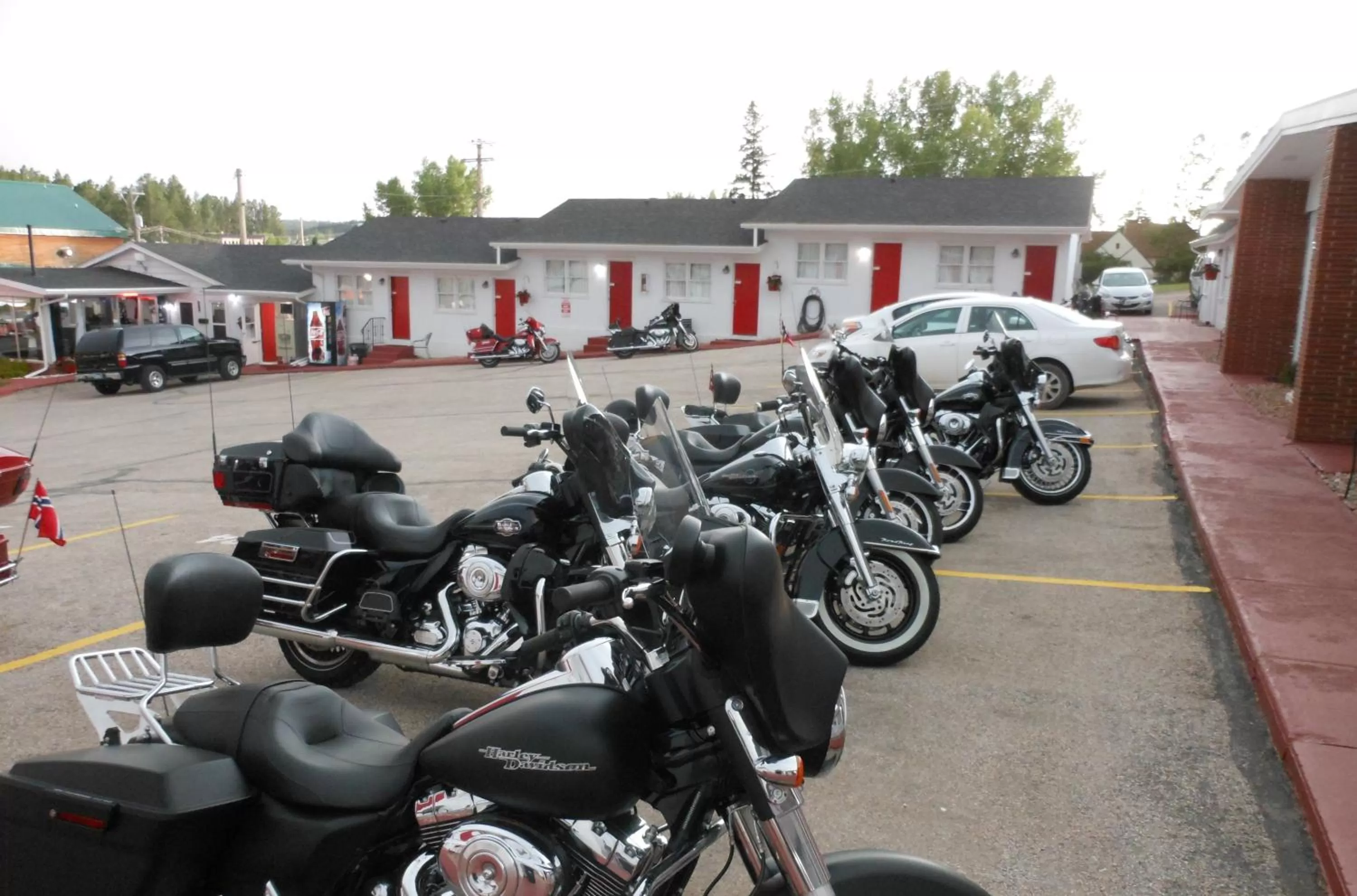 Day, Other Activities in Rocket Motel