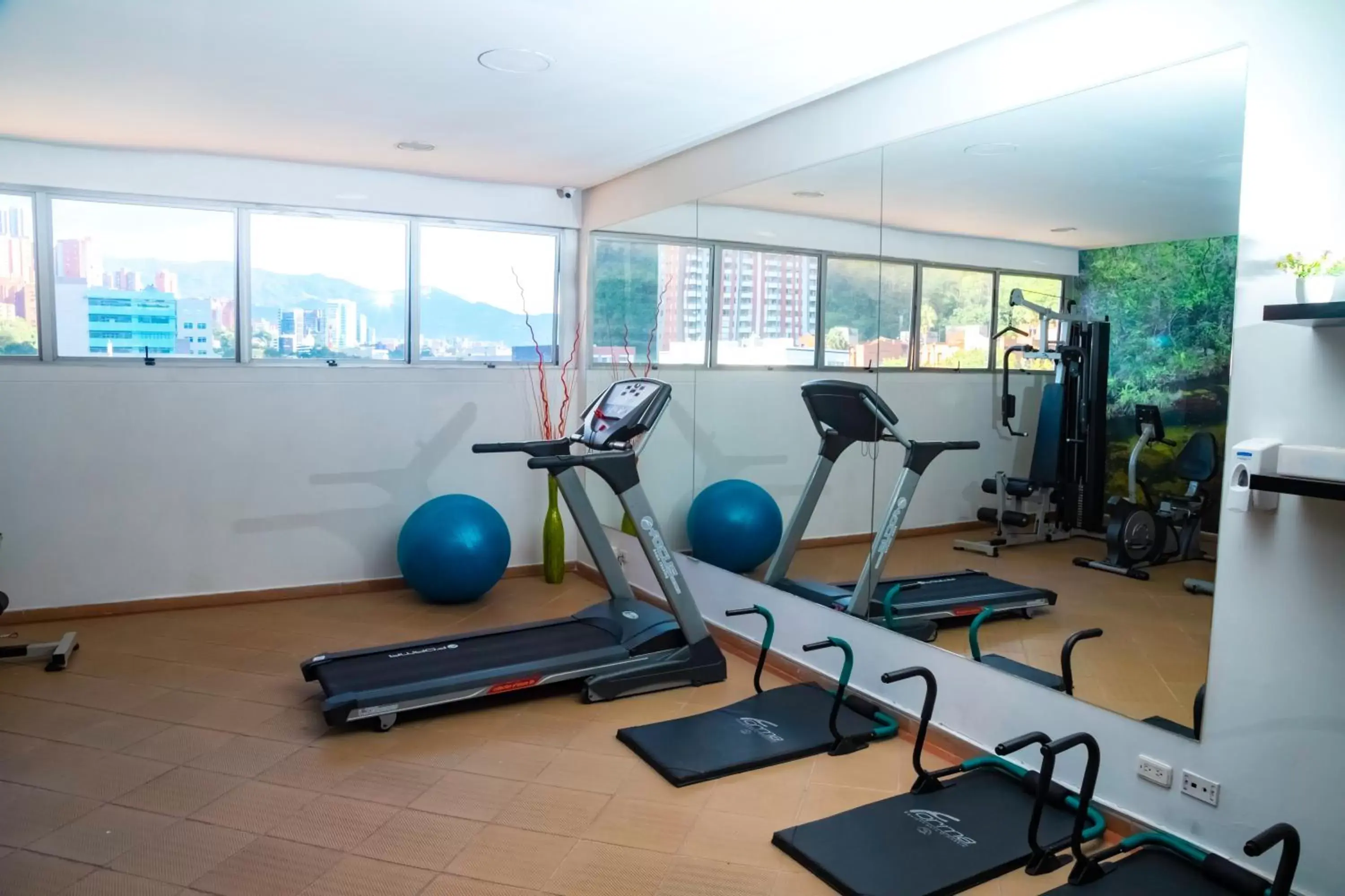 Fitness centre/facilities, Fitness Center/Facilities in Mi Hotel Sandiego