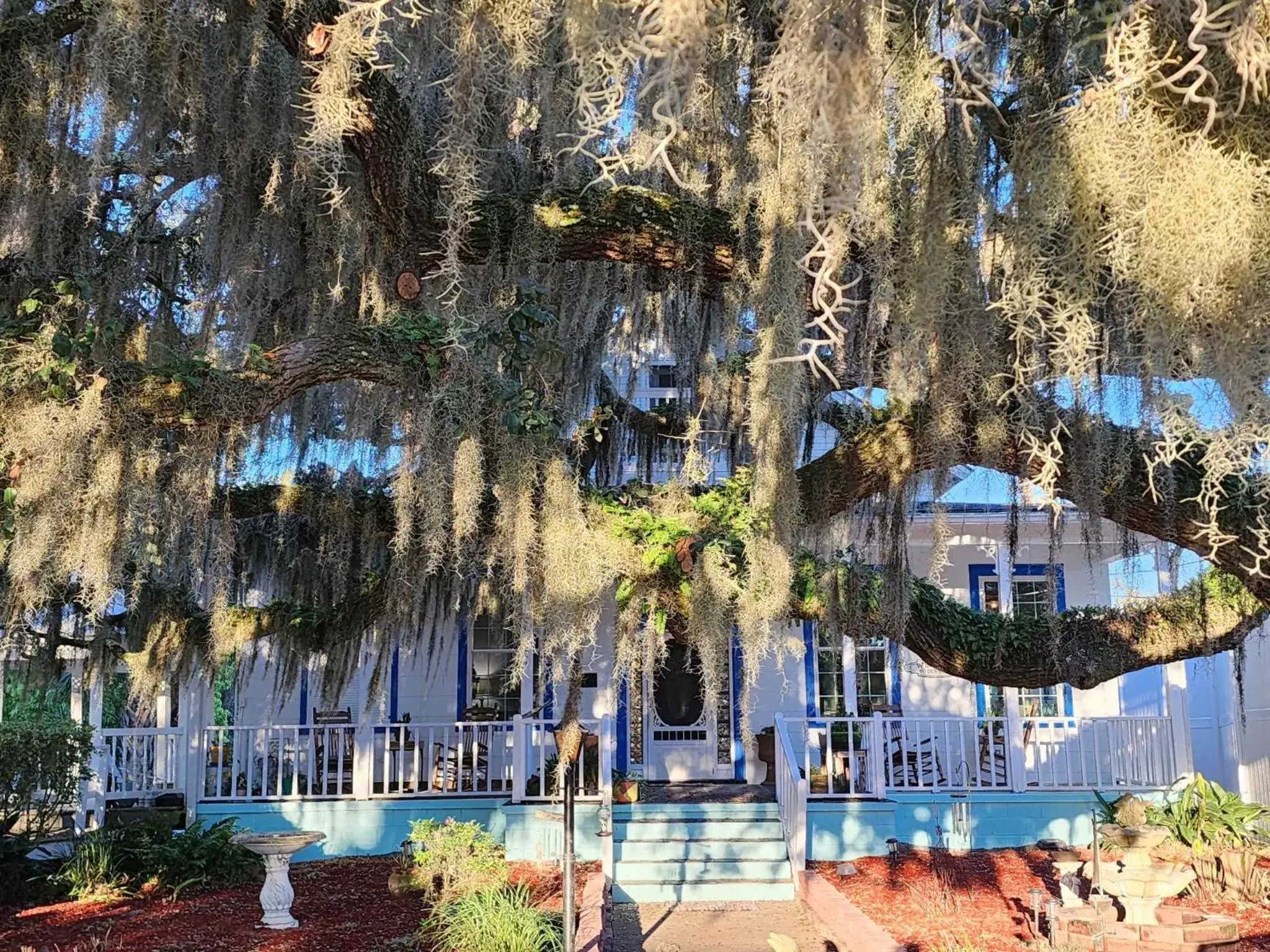 Pool View in Tybee Island Inn Bed & Breakfast