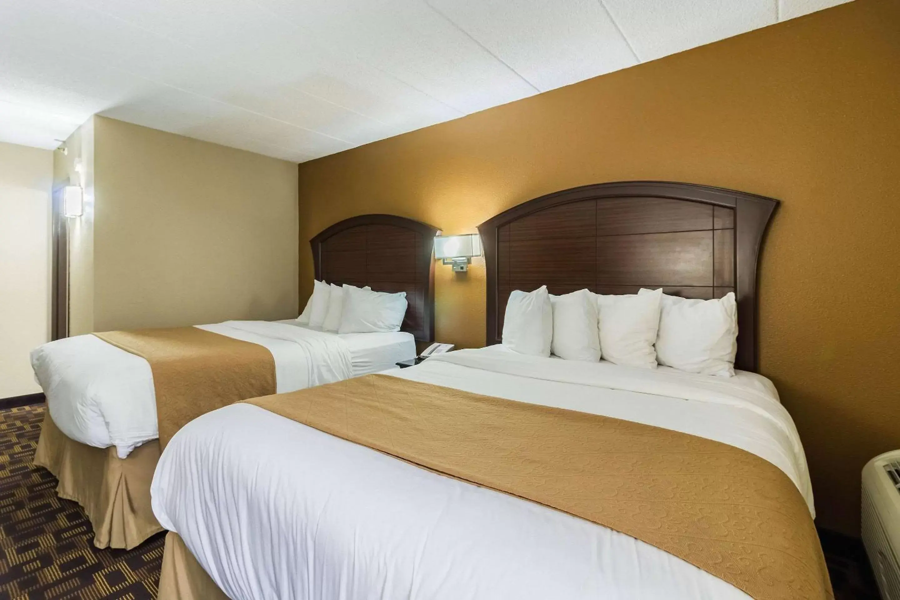 Photo of the whole room, Bed in Quality Inn and Suites - Arden Hills