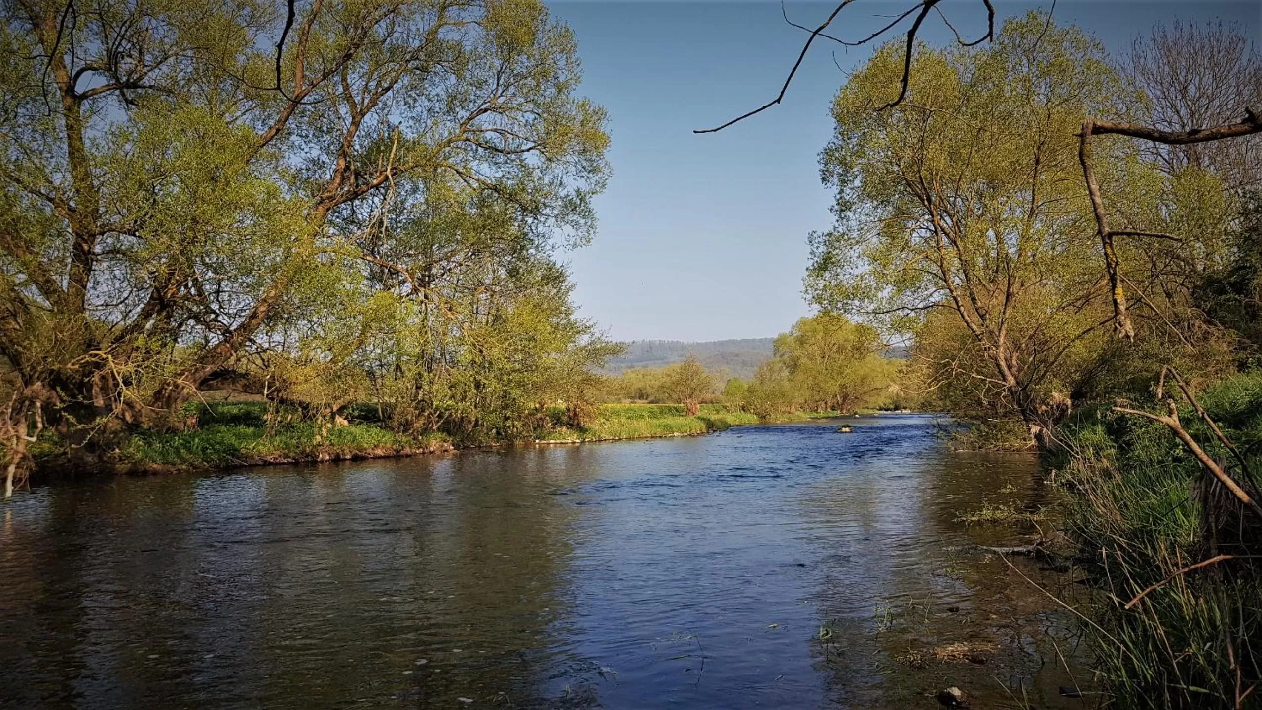 Natural landscape in Roastineer Hotel