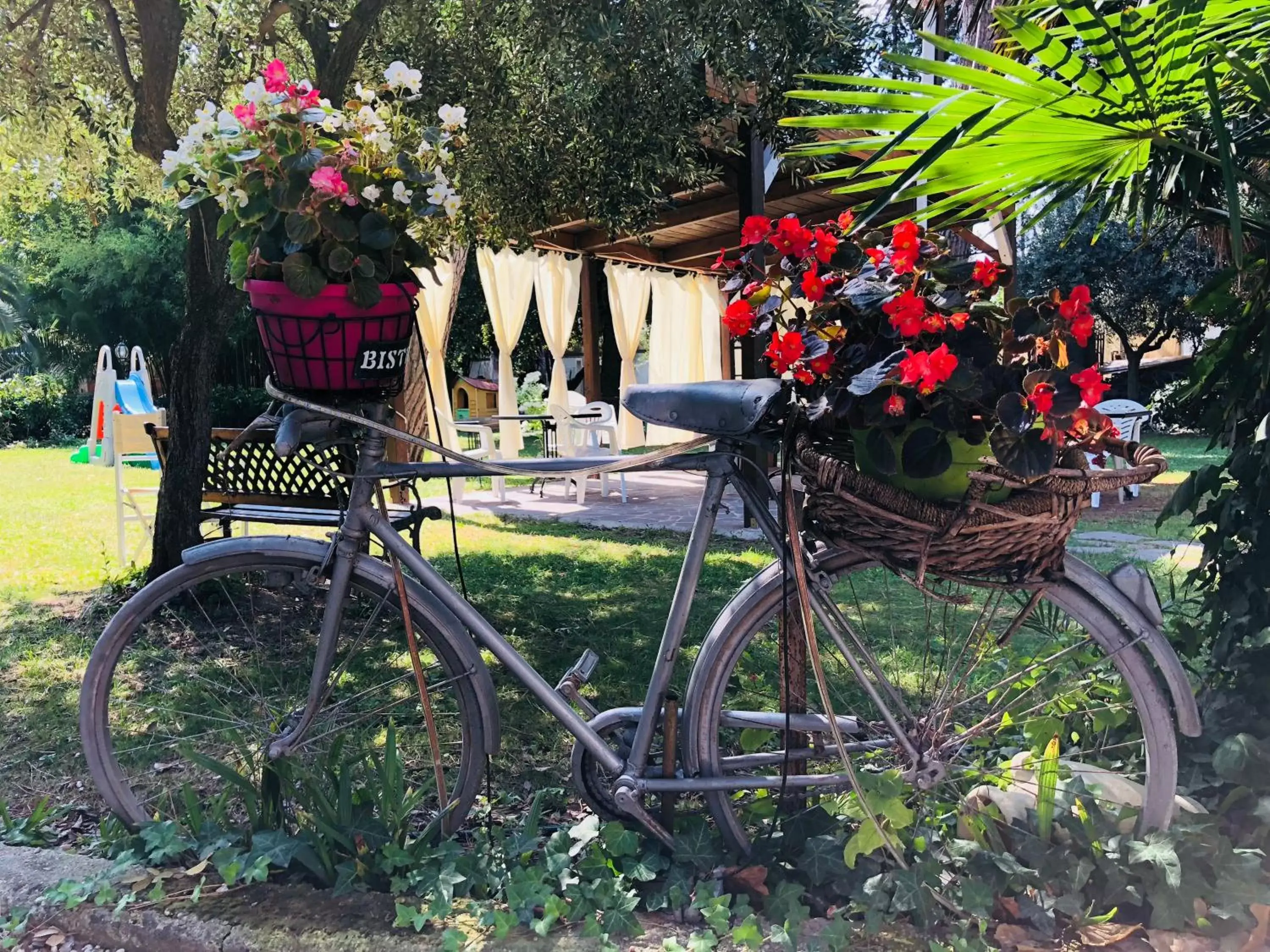 Garden in Villa Berghella