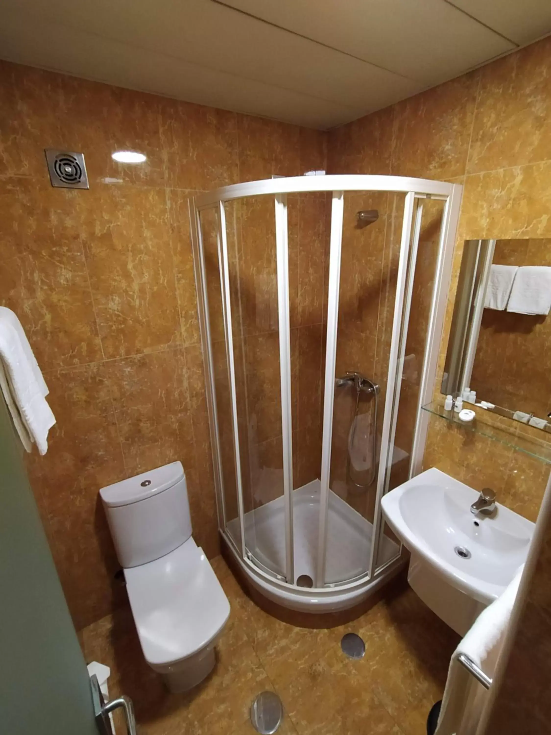 Shower, Bathroom in Hotel Botanico