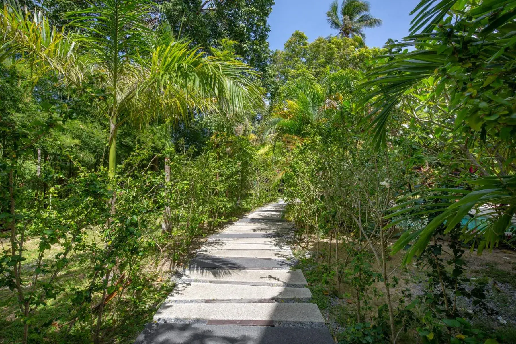 Property building in Panalee Koh Samui Resort - SHA Plus Property building in Panalee Koh Samui Resort - SHA Plus