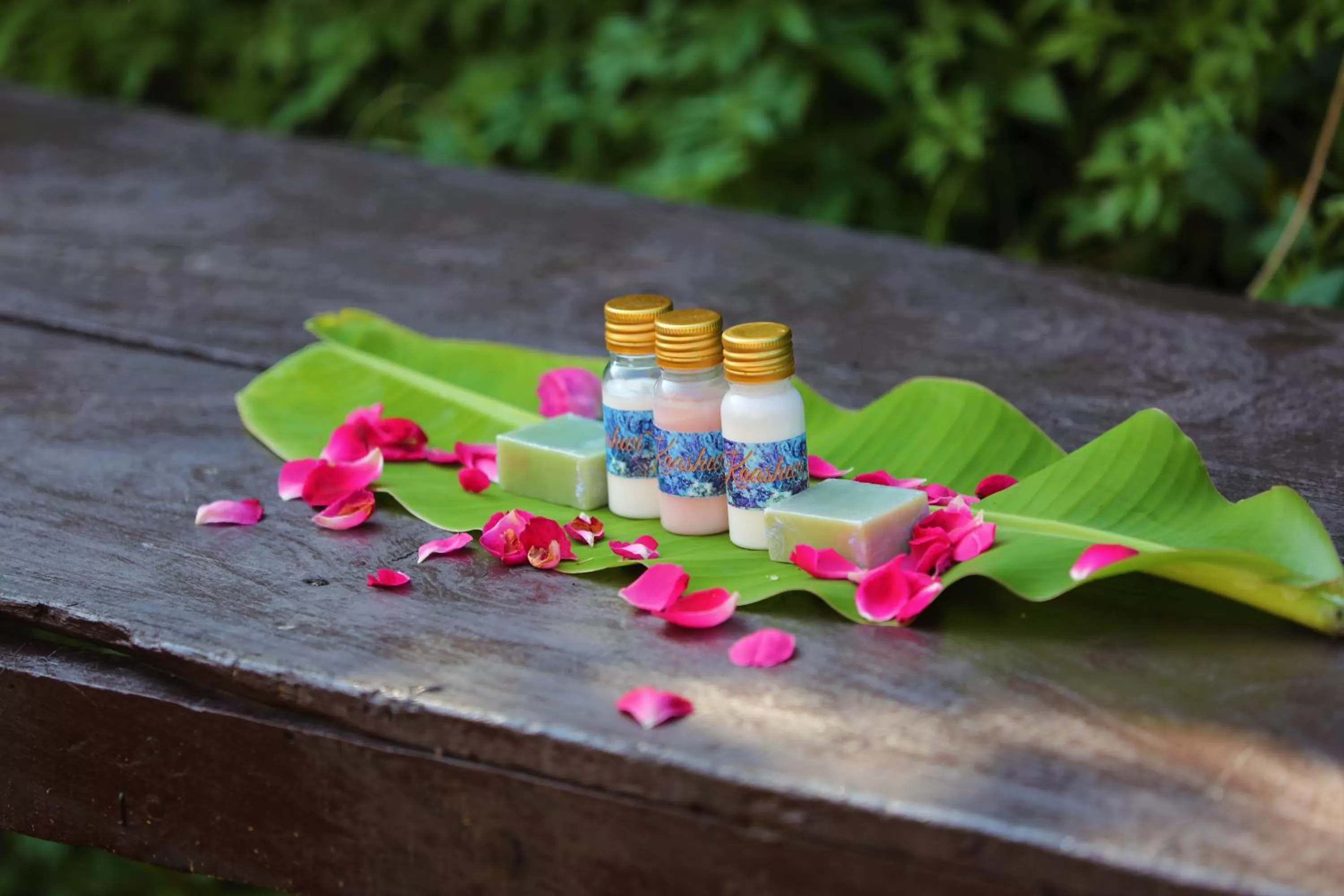 Camp Paridhi Ranthambhore, Homestay