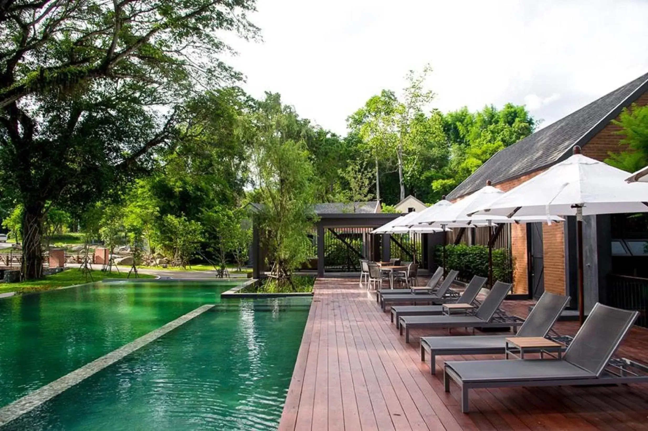 Natural landscape, Swimming Pool in Flora Creek Chiang Mai