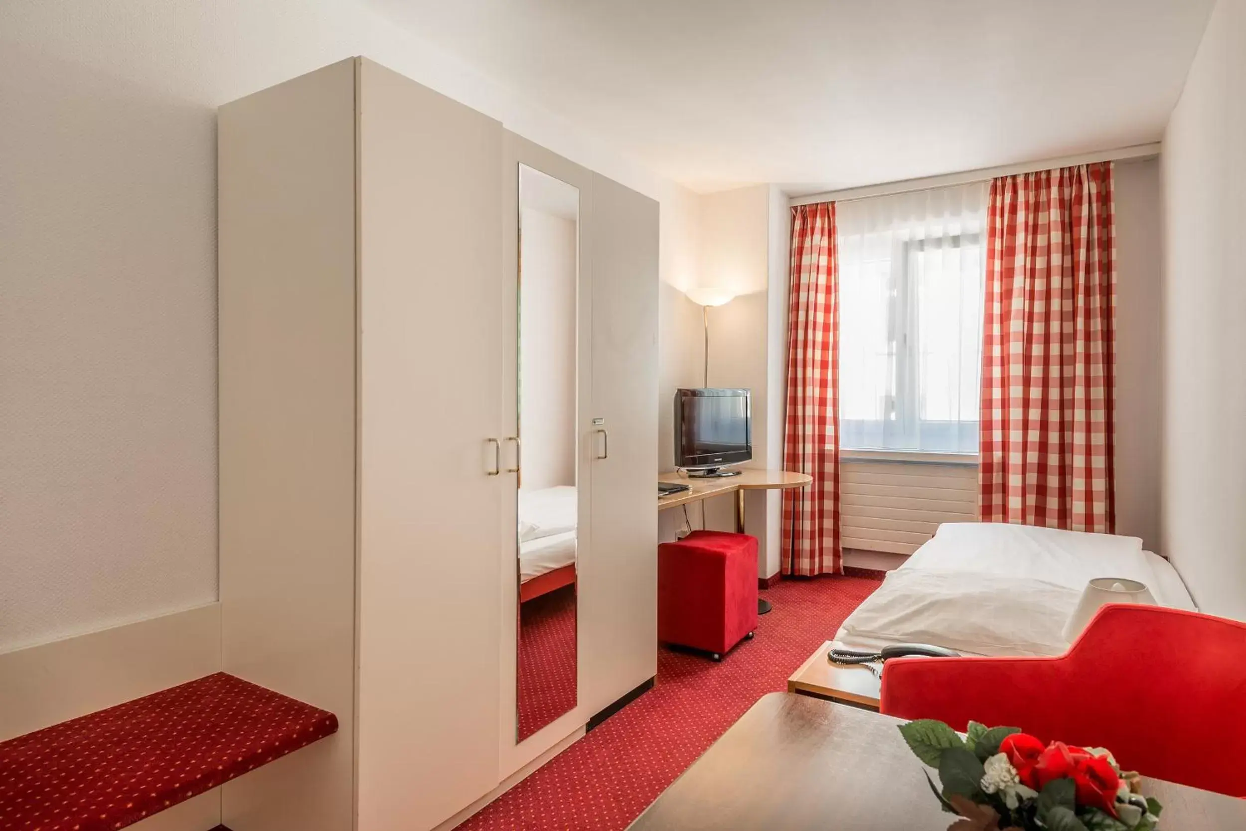 Single Room in Hotel Alpina Luzern