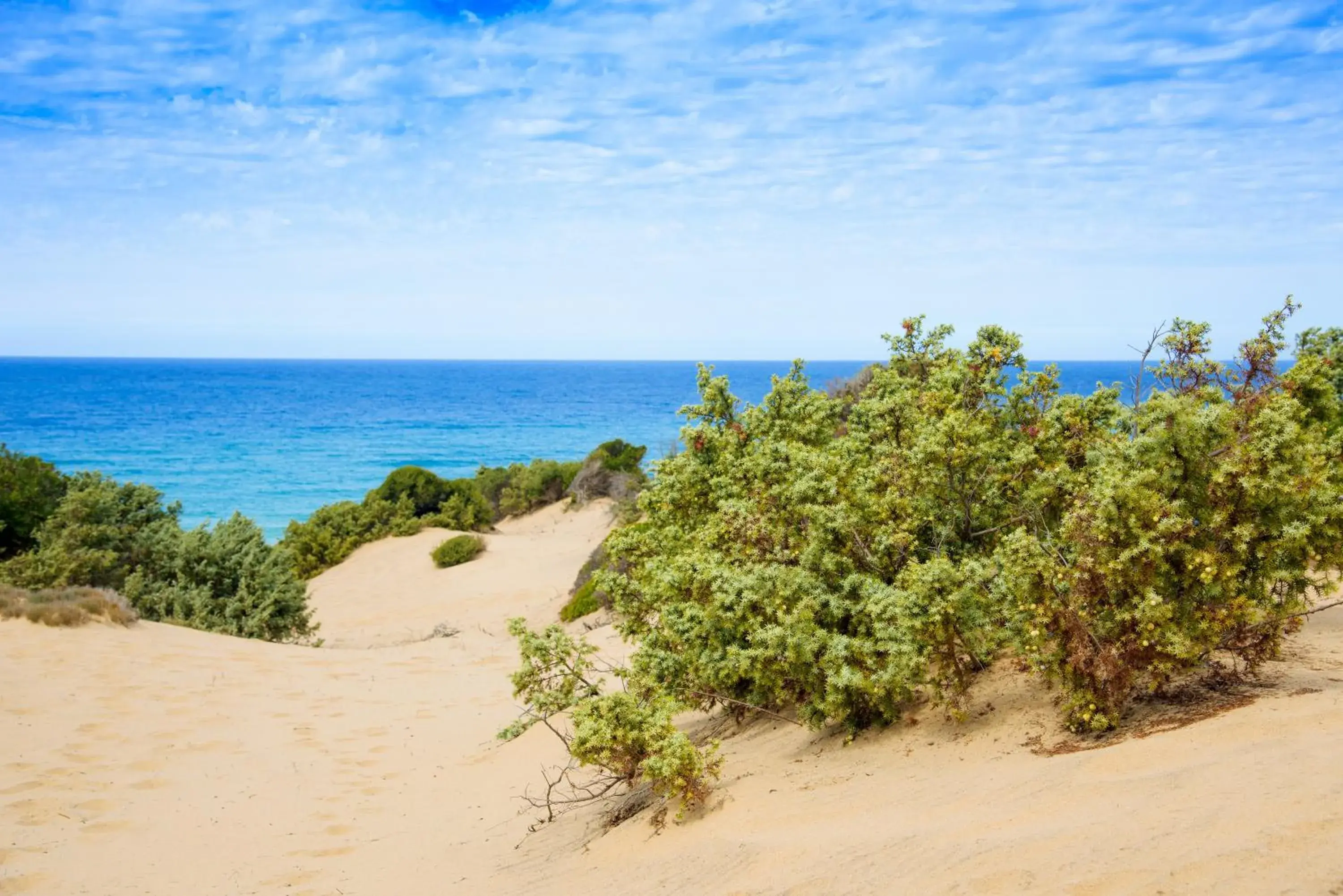 Beach in Tartheshotel