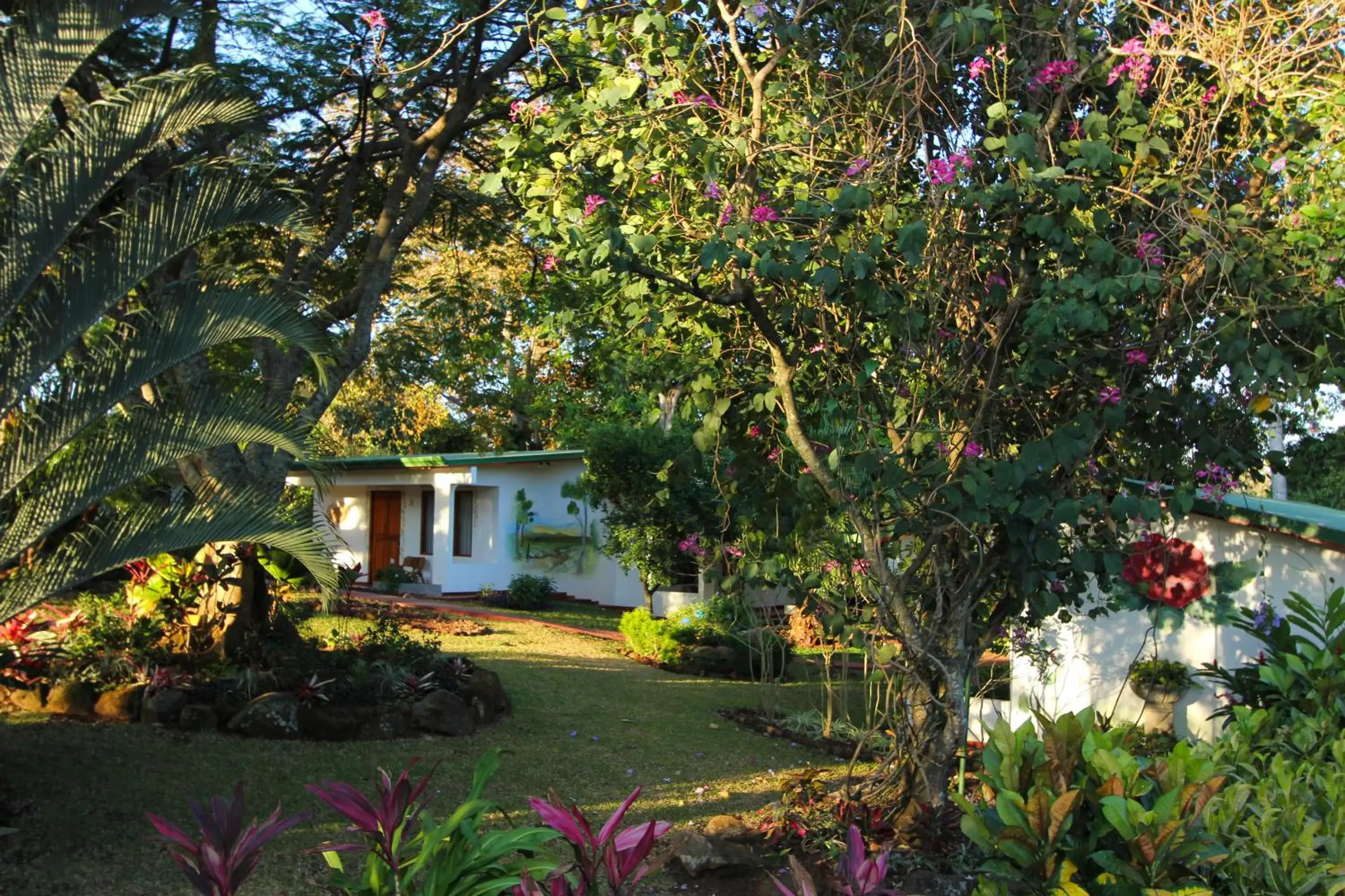 Garden, Property Building in Hotel La Rosa de America