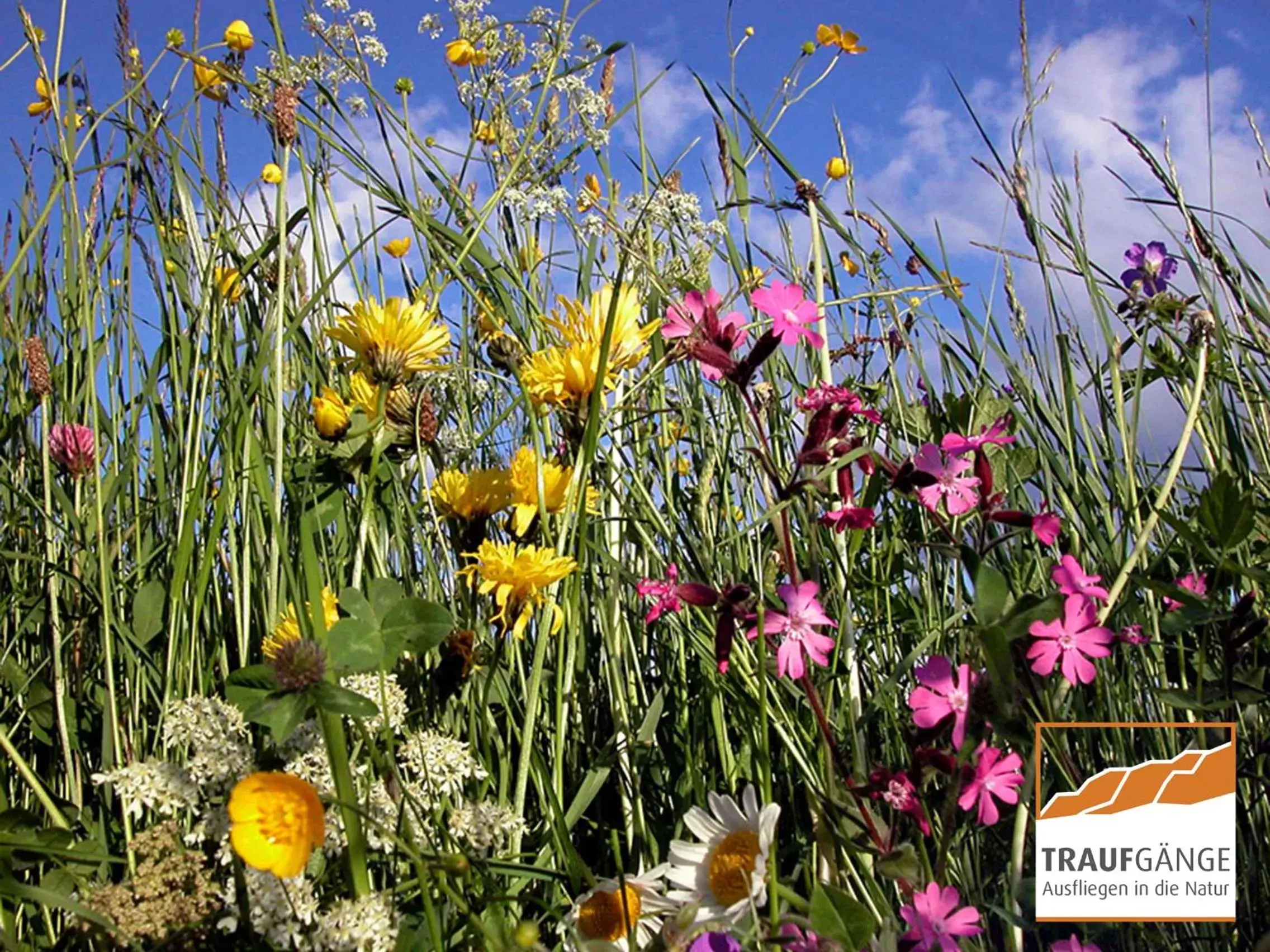 Hiking, Garden in Hotel Garni in der Breite