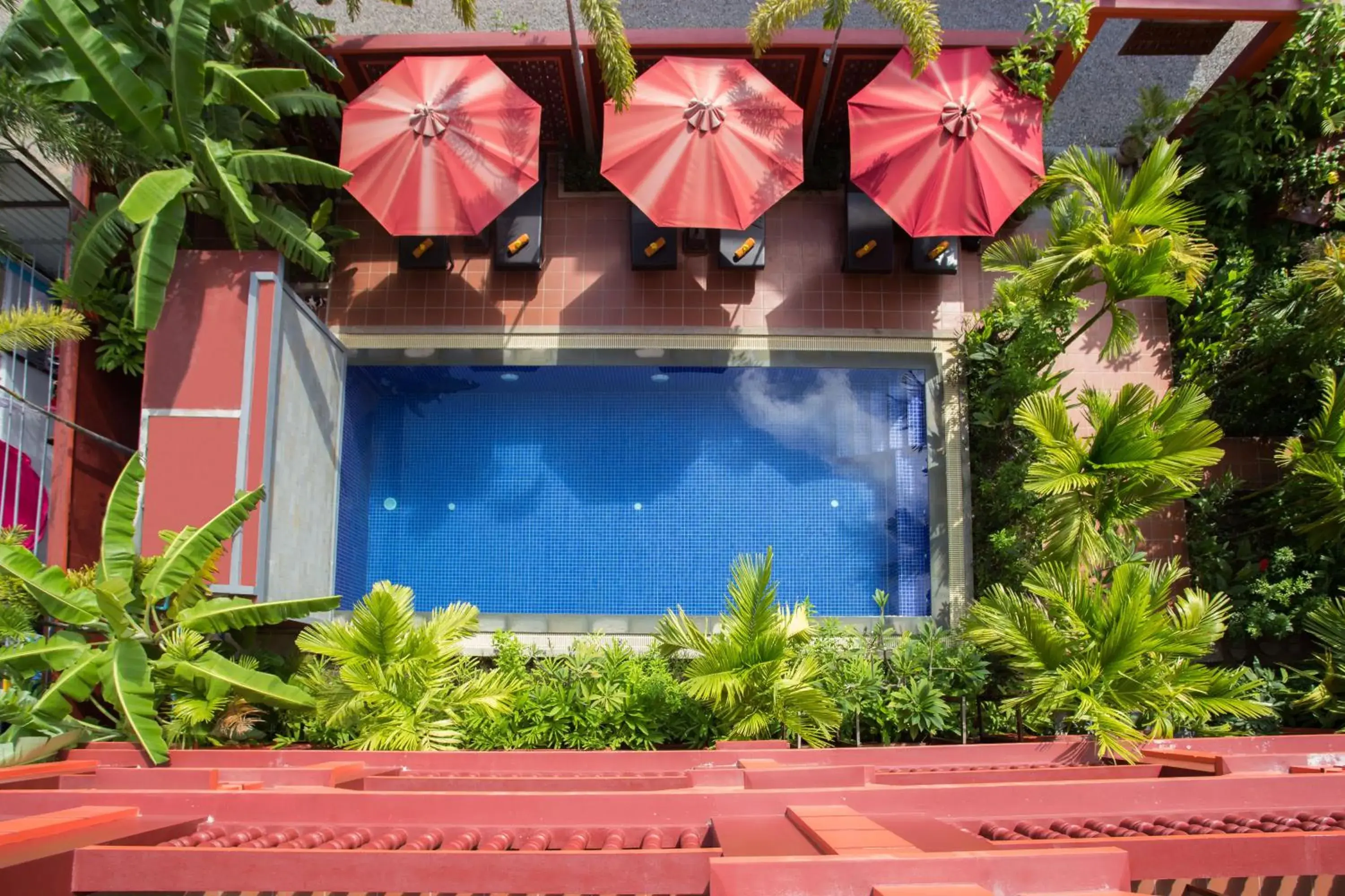 Garden, Pool View in Bou Savy Villa