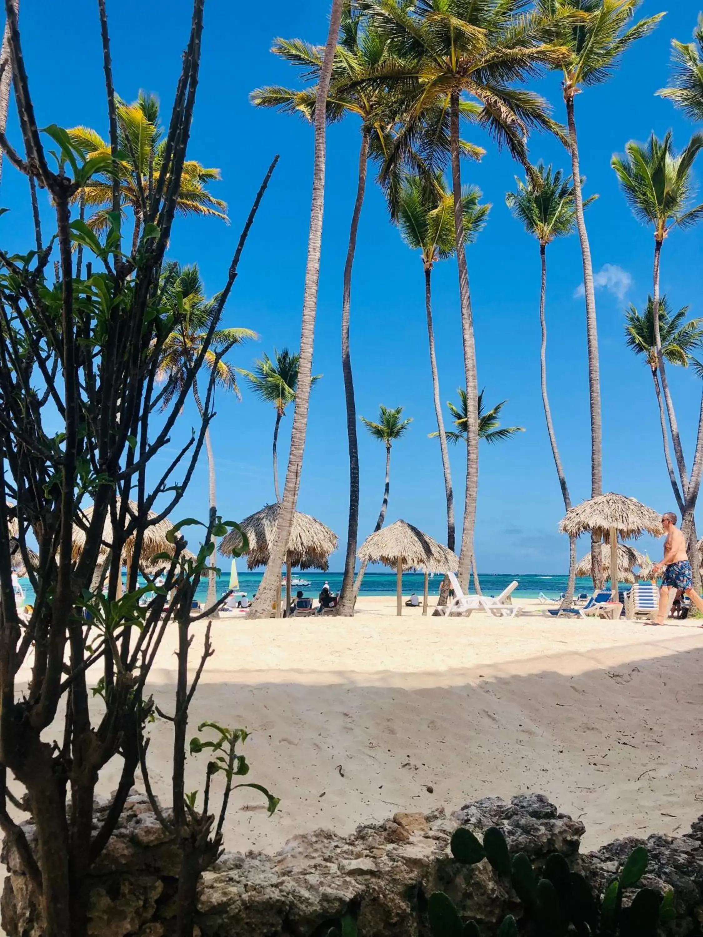 Beach in Los Corales Luxury Villas Beach Club and Spa