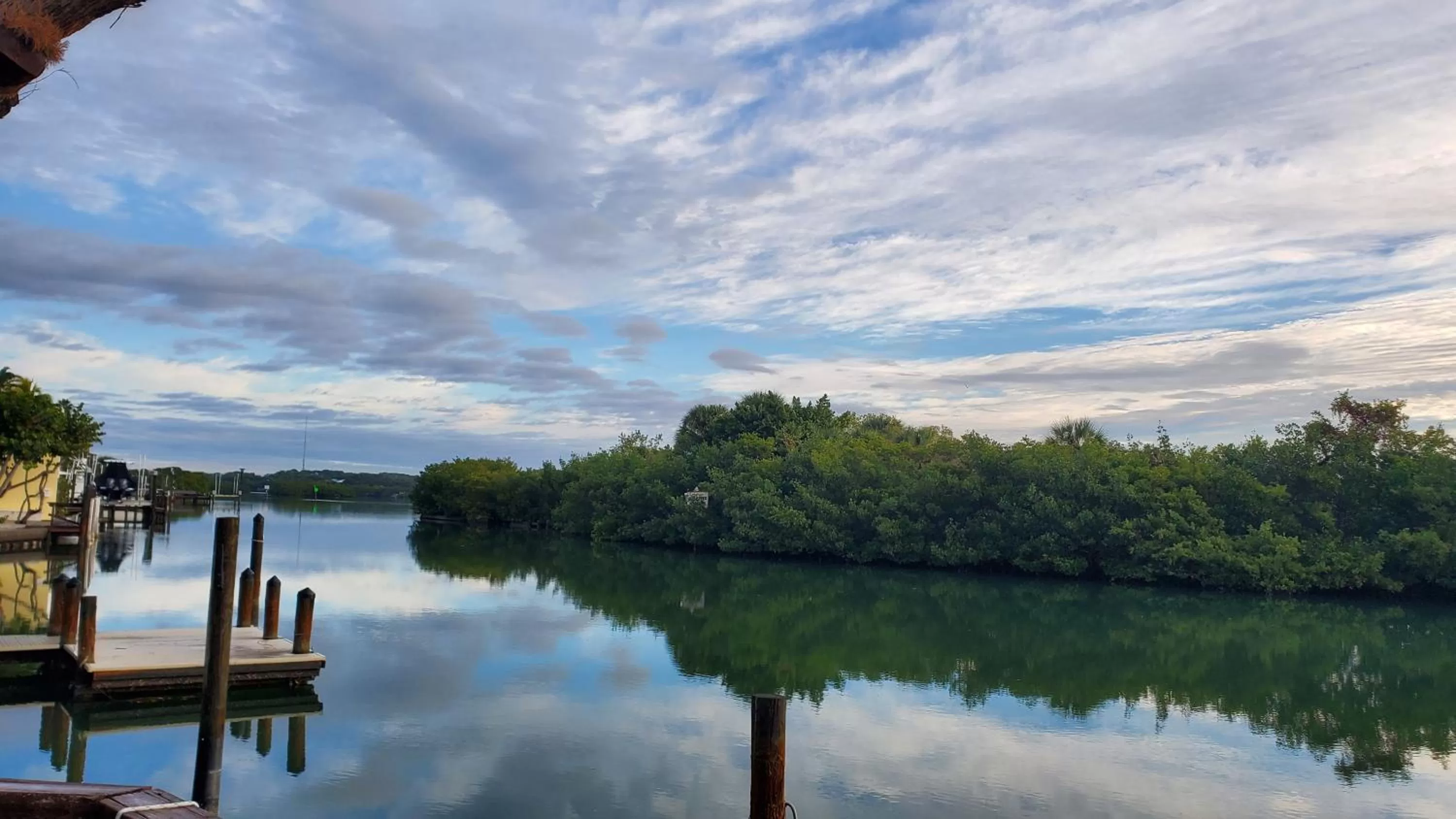 Natural landscape in Casey Key Resort - Gulf Shores