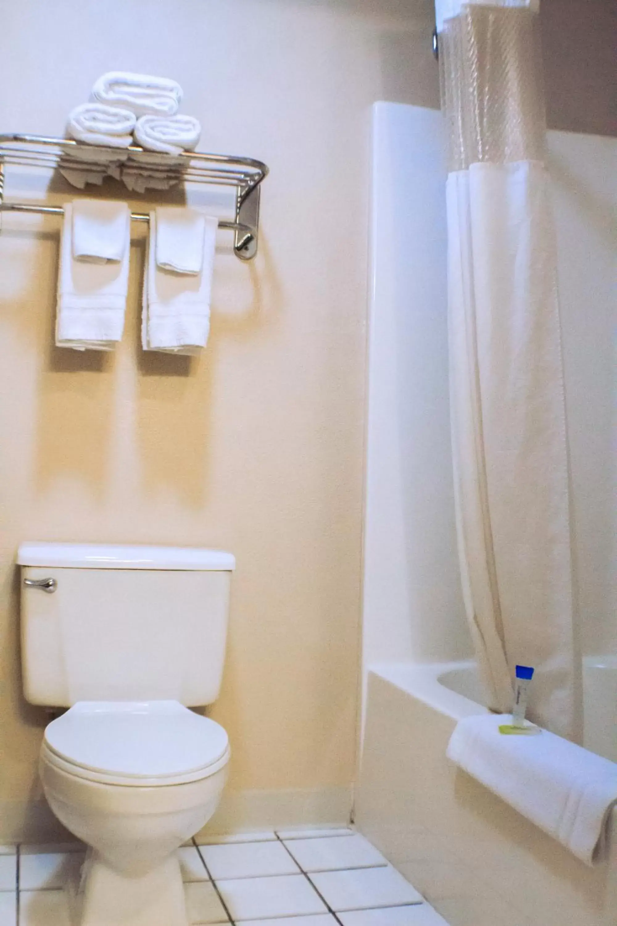 Shower, Bathroom in Victorian Inn & Suites-York