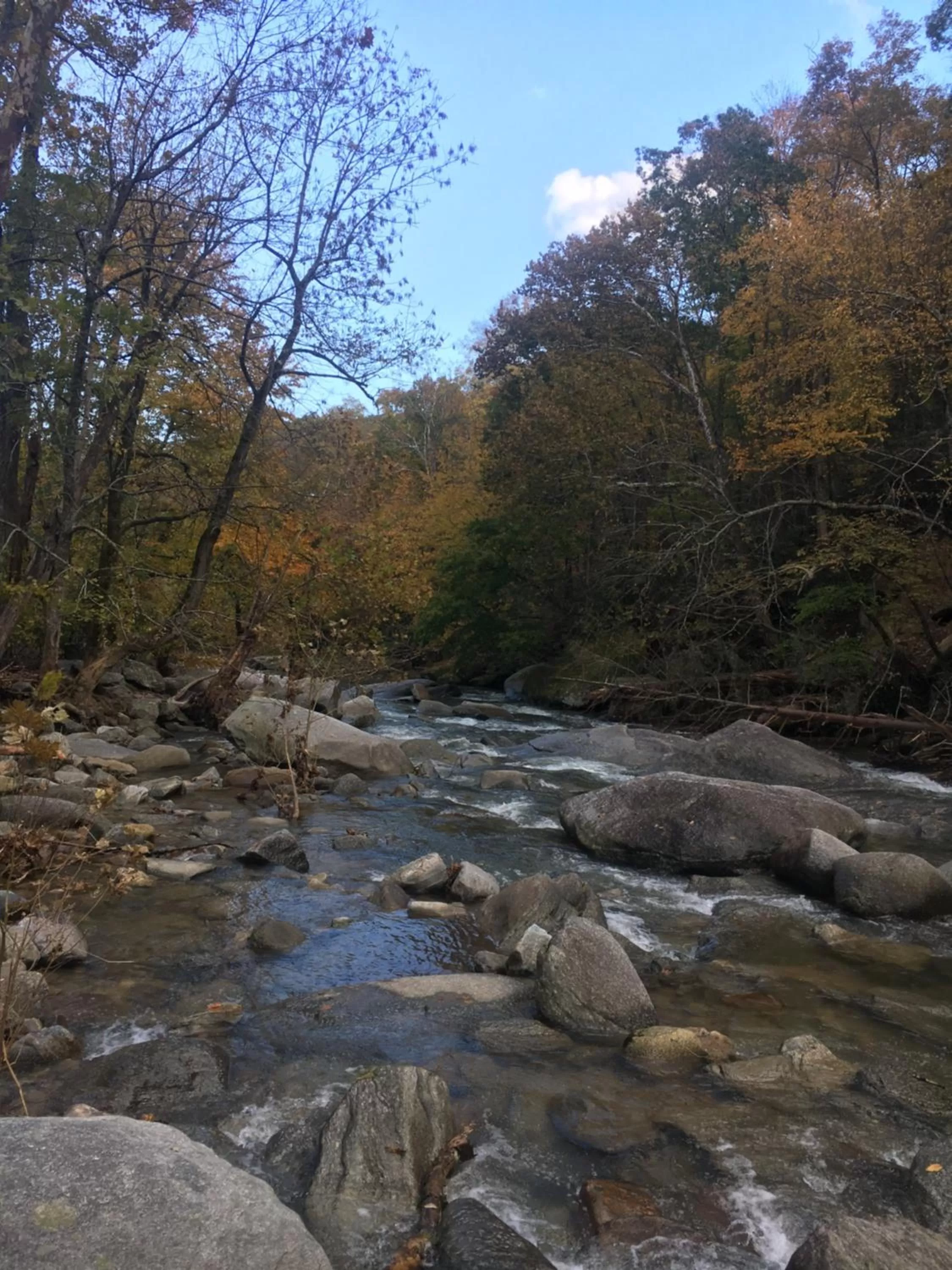 Nearby landmark, Natural Landscape in Grafton Lodge