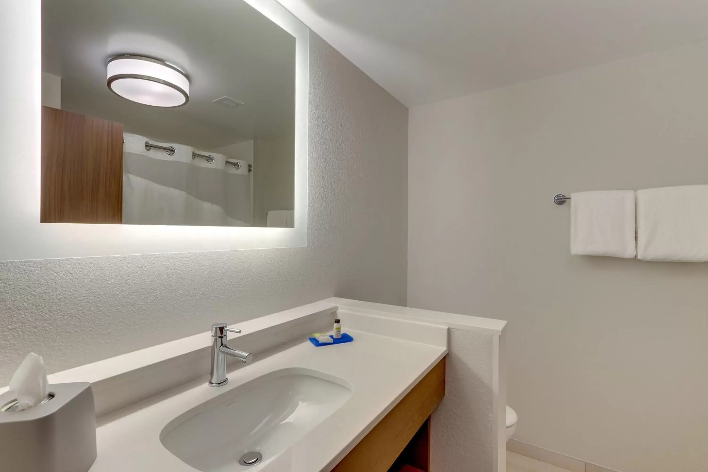 Bathroom in Holiday Inn Express & Suites - Roanoke – Civic Center