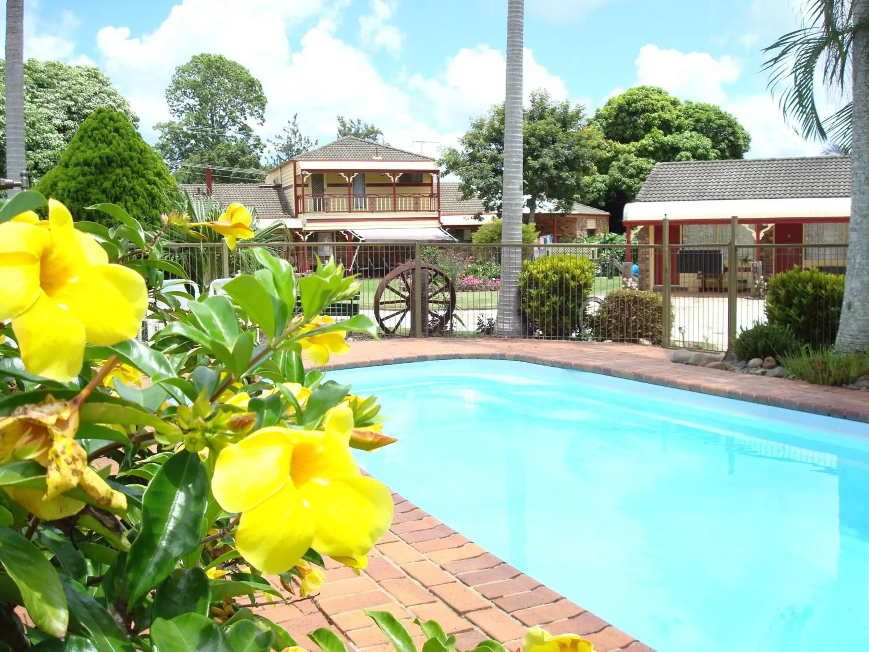 Pool view, Swimming Pool in Alstonville Settlers Motel