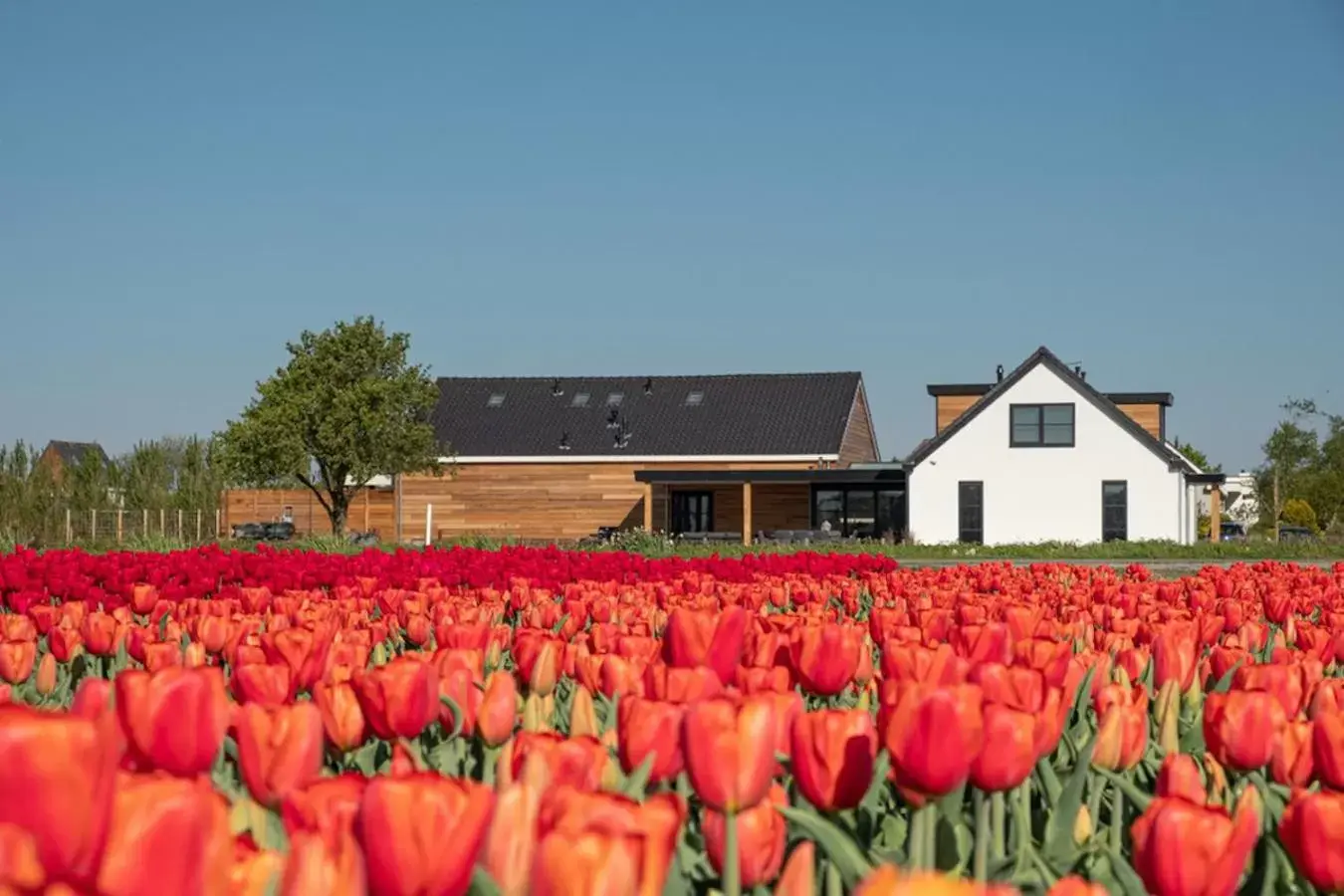 Property Building in B&B de Cley