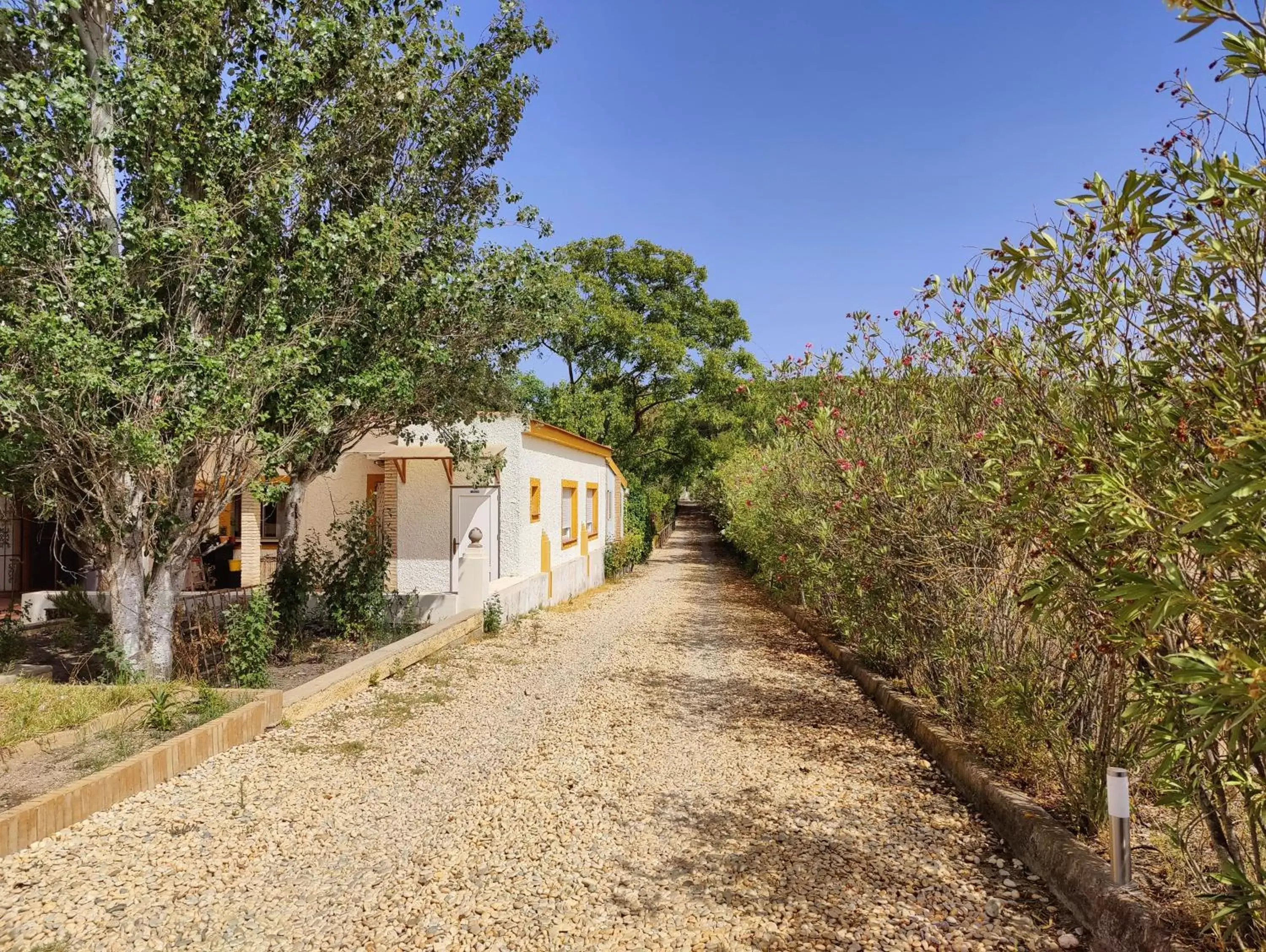 Property Building in Cortijo Los Conquistadores