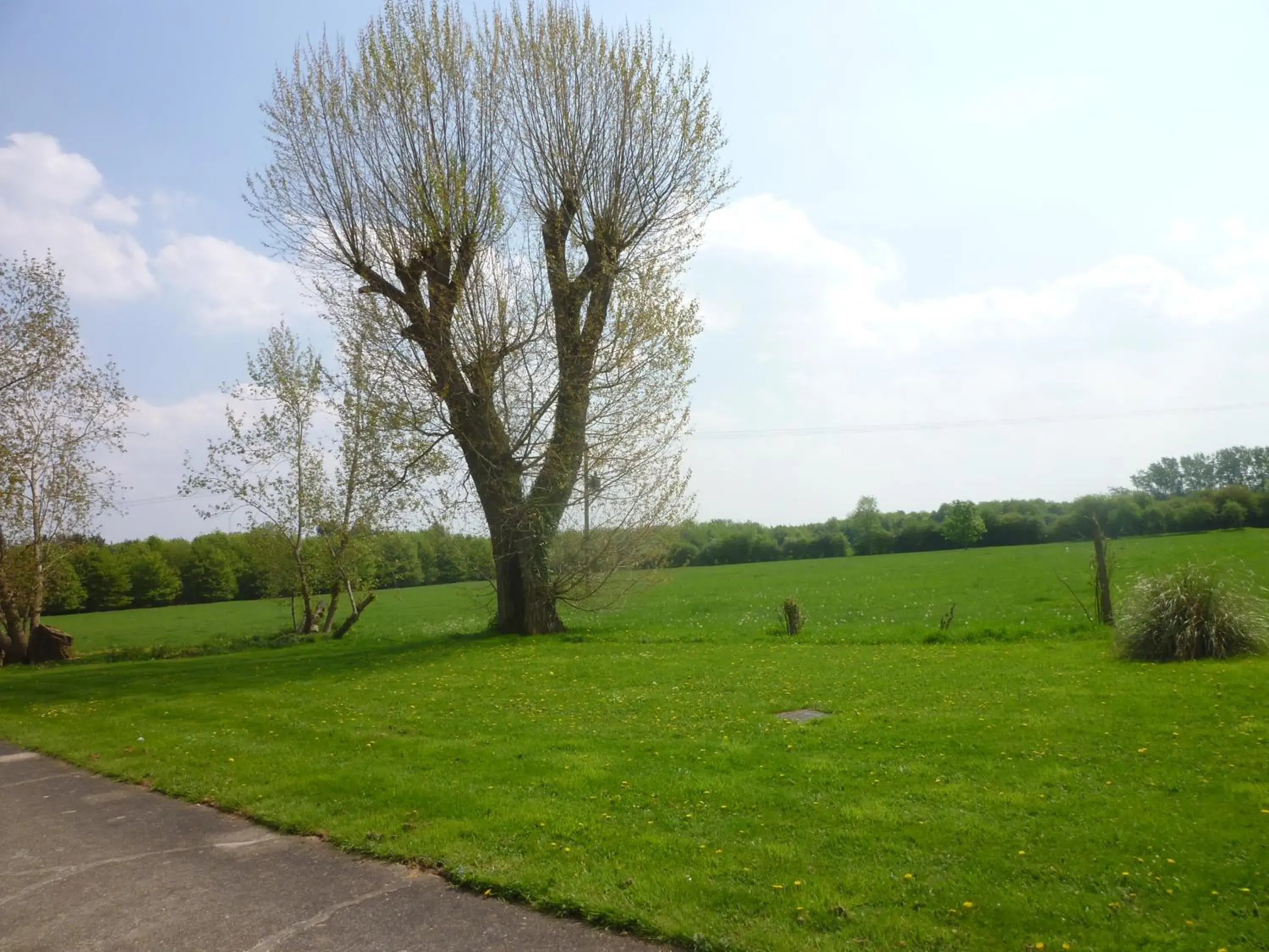 View (from property/room), Garden in Rectory Farm