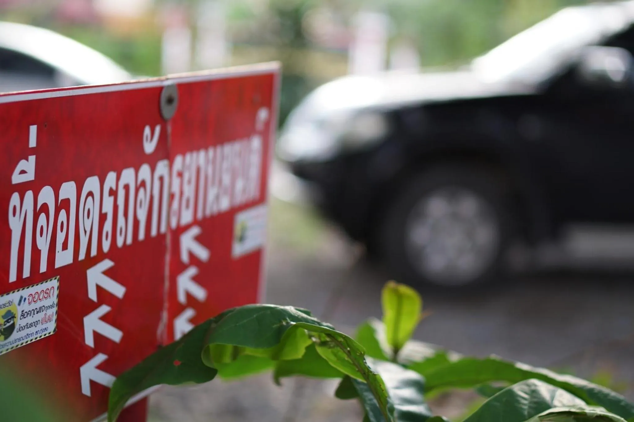 Parking in Sino @ Thungsong