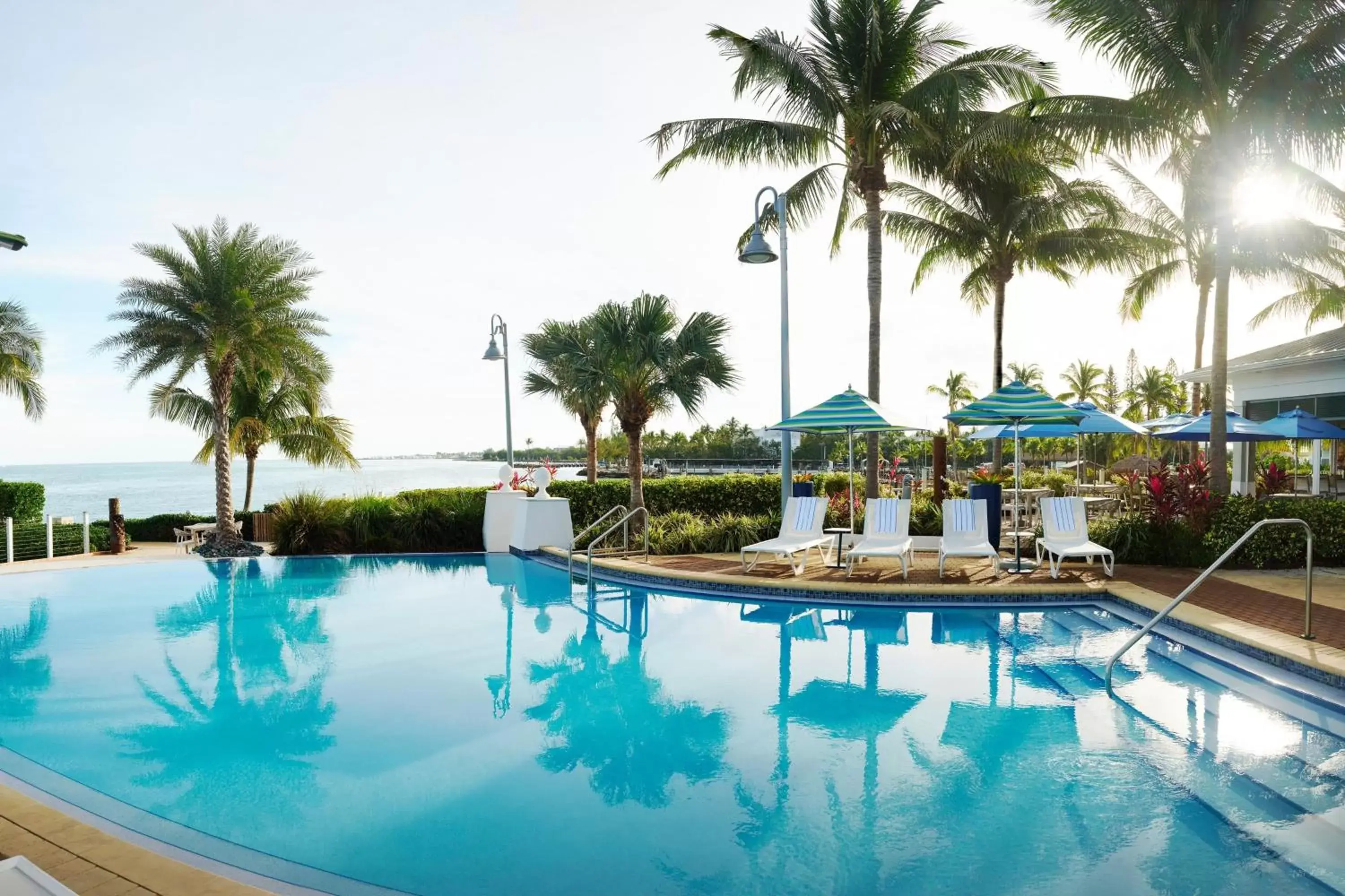 Swimming Pool in Courtyard by Marriott Faro Blanco Resort