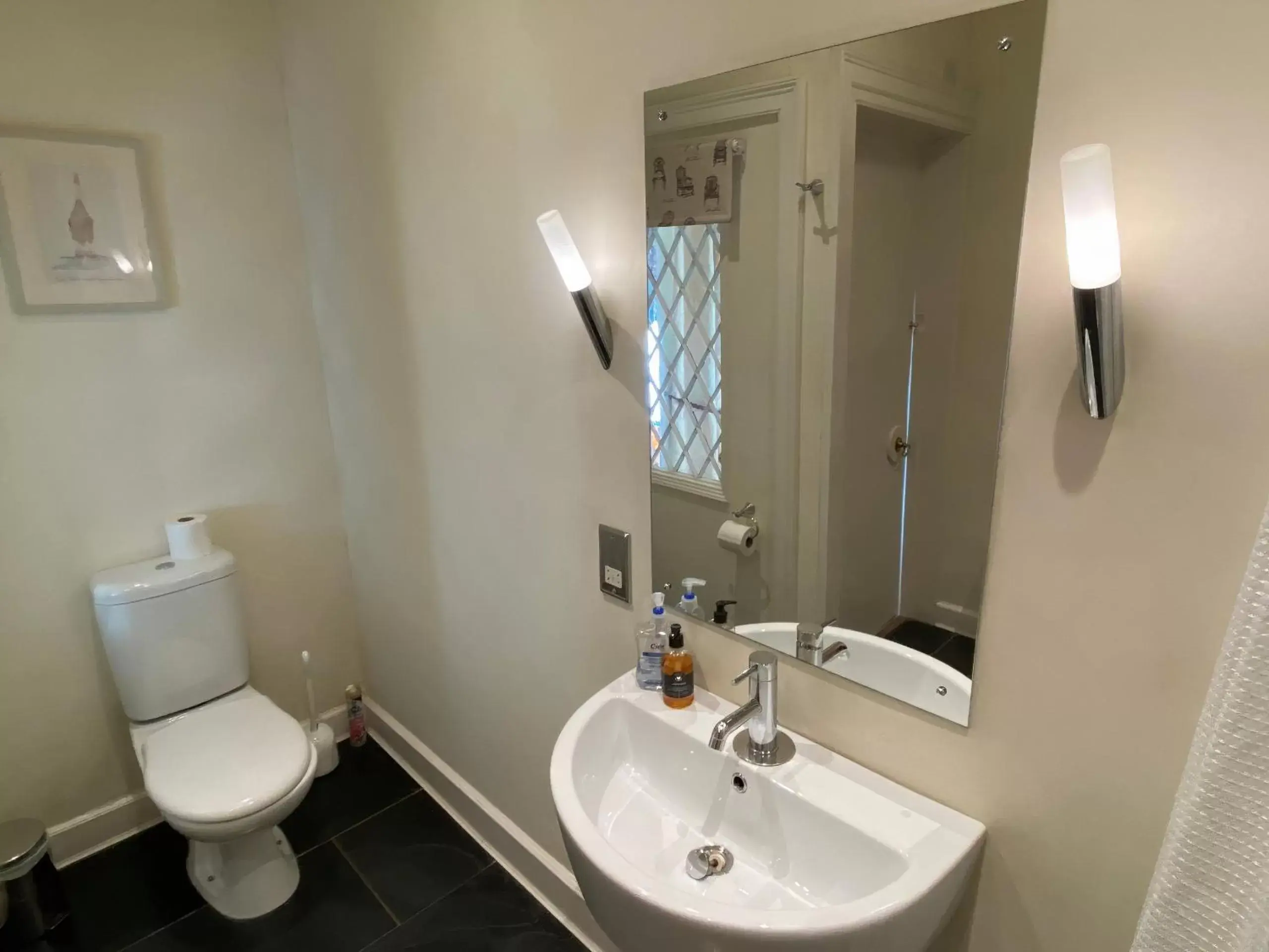 Bathroom in Plas Tan-Yr-Allt Historic Country House & Estate