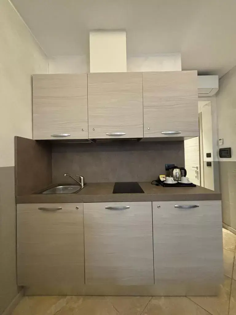 Kitchen or kitchenette, Kitchen/Kitchenette in Hotel Plaza