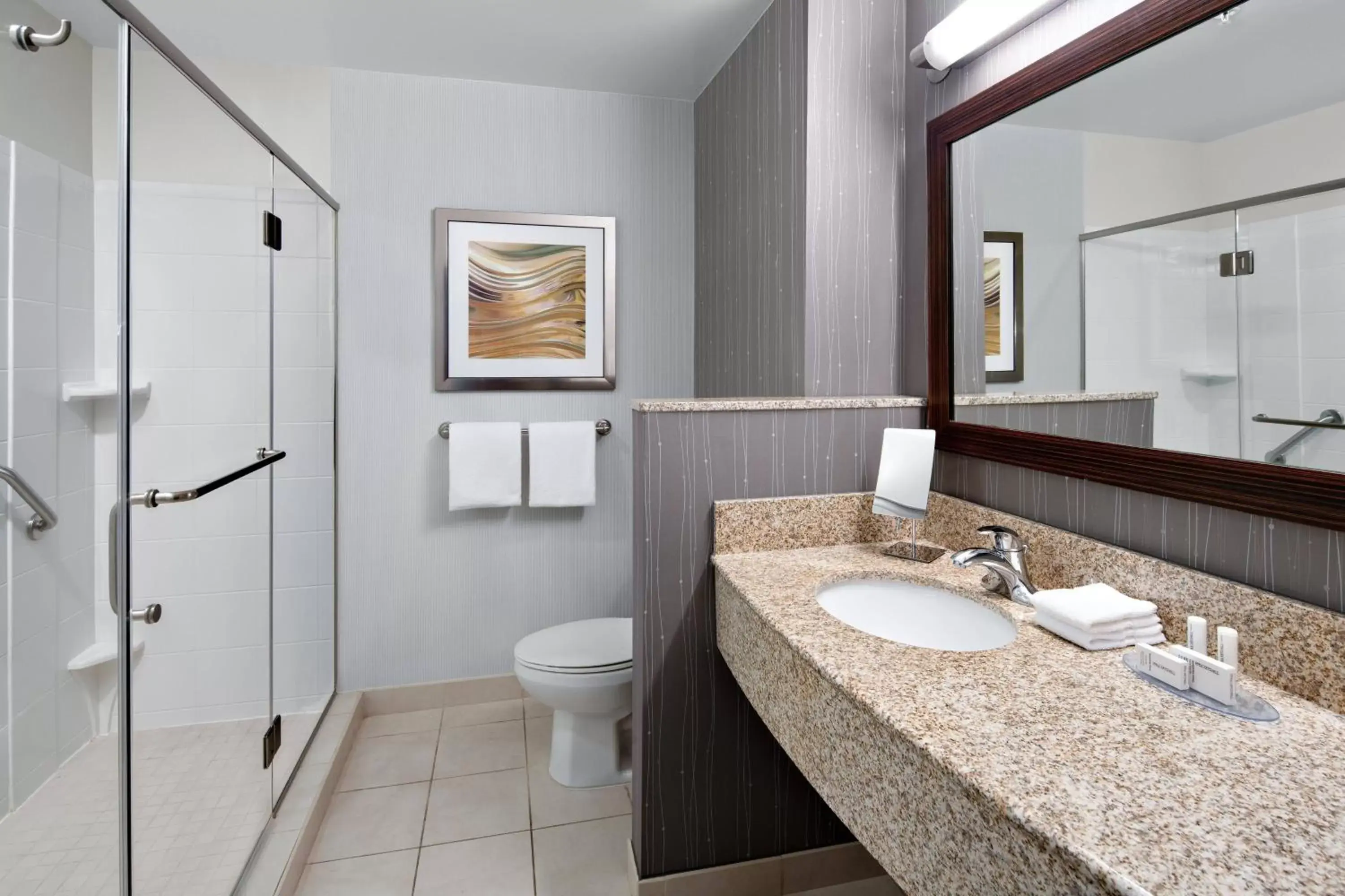 Bathroom in Courtyard by Marriott Raleigh North/Triangle Town Center