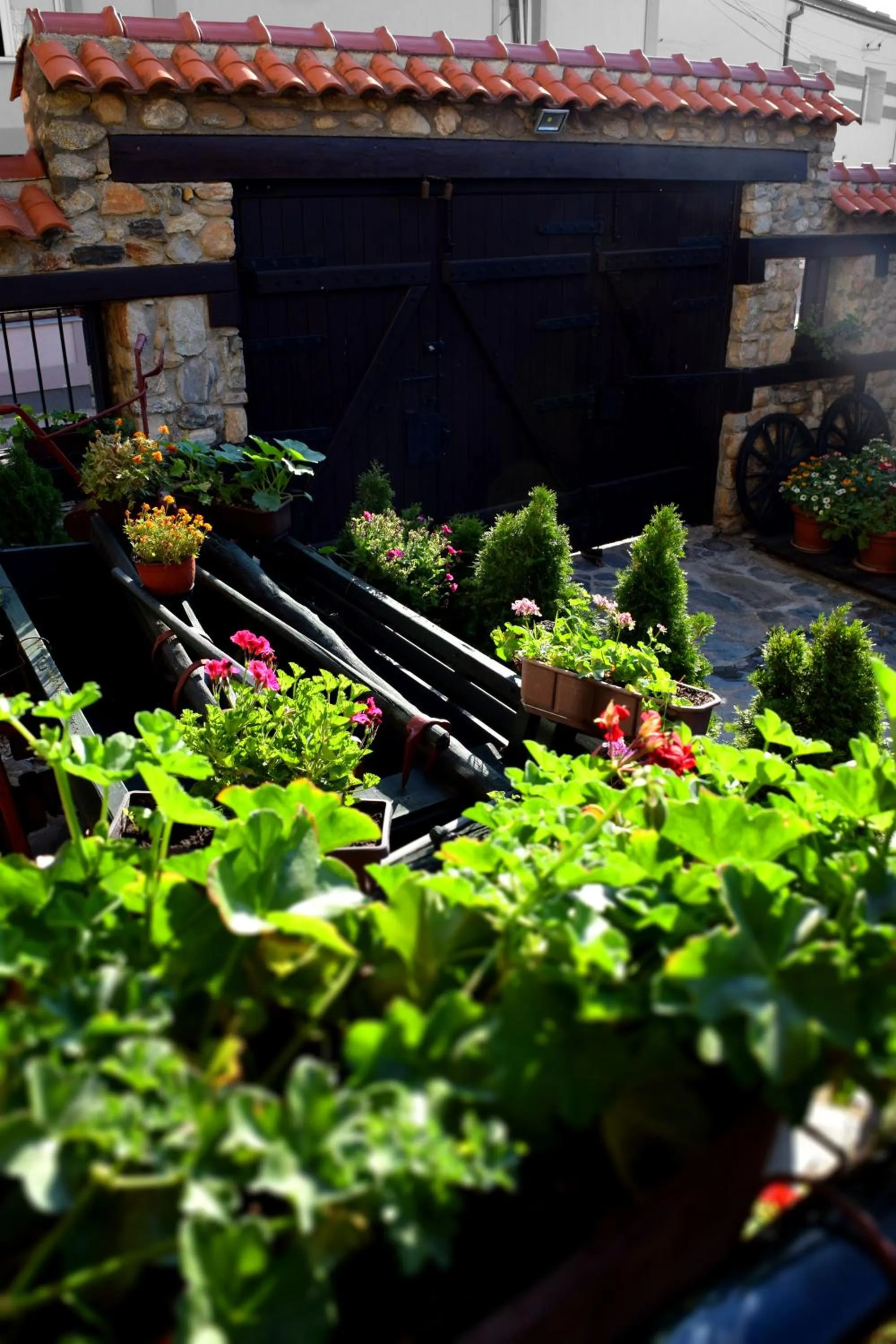 Patio in Hotel Theatre