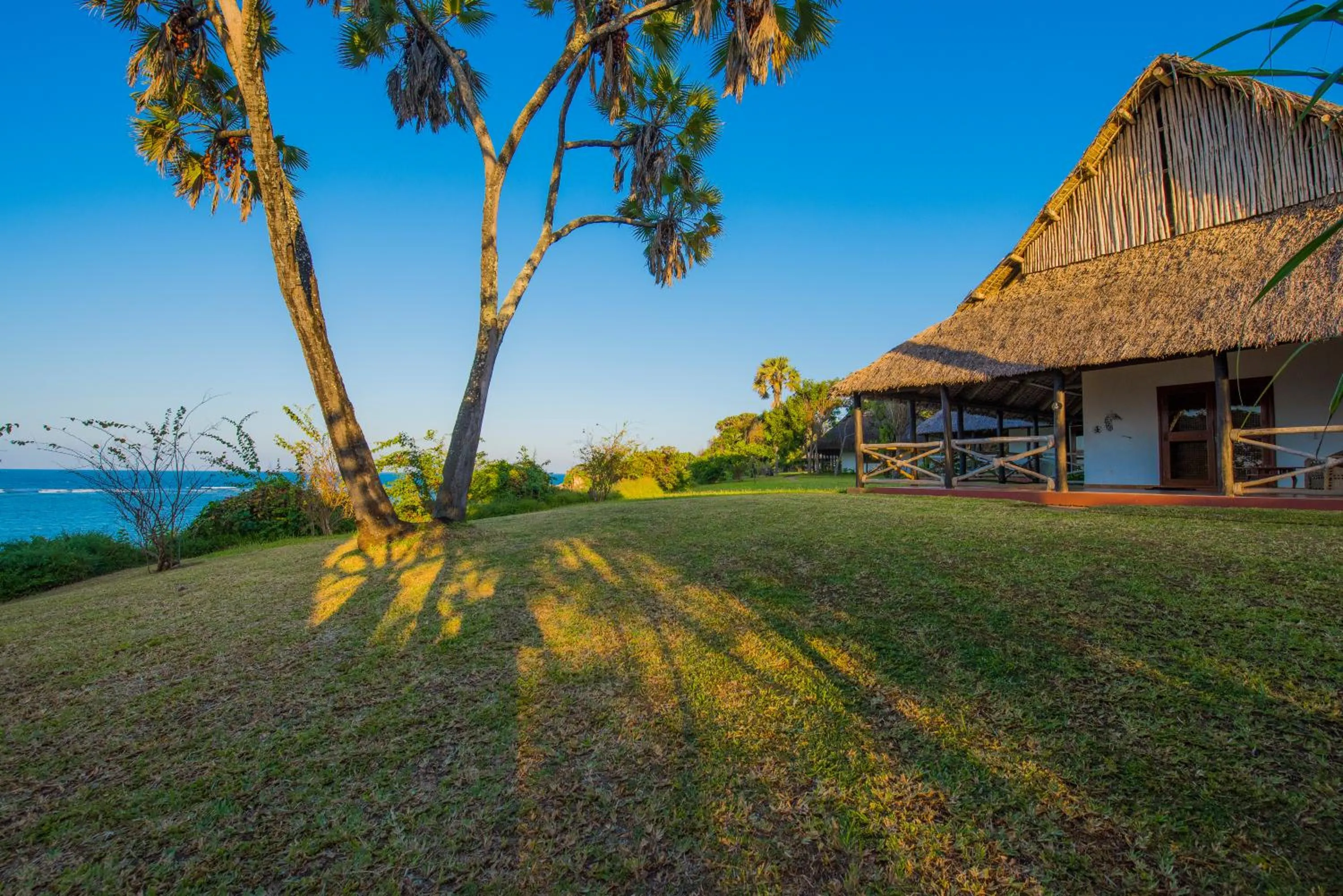 Garden in Amani Beach Resort