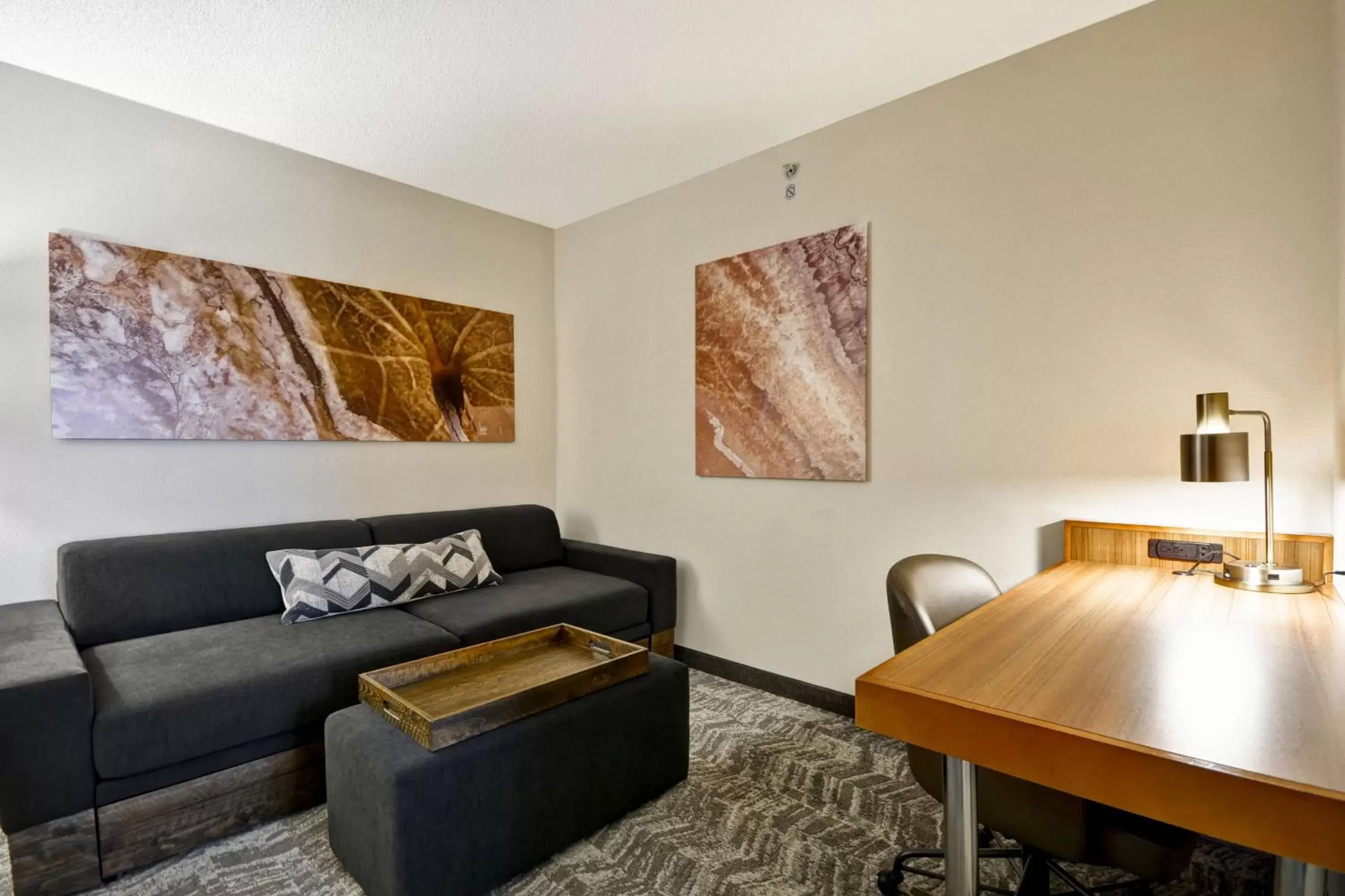 Living room, Seating Area in SpringHill Suites Lexington Near the University of Kentucky