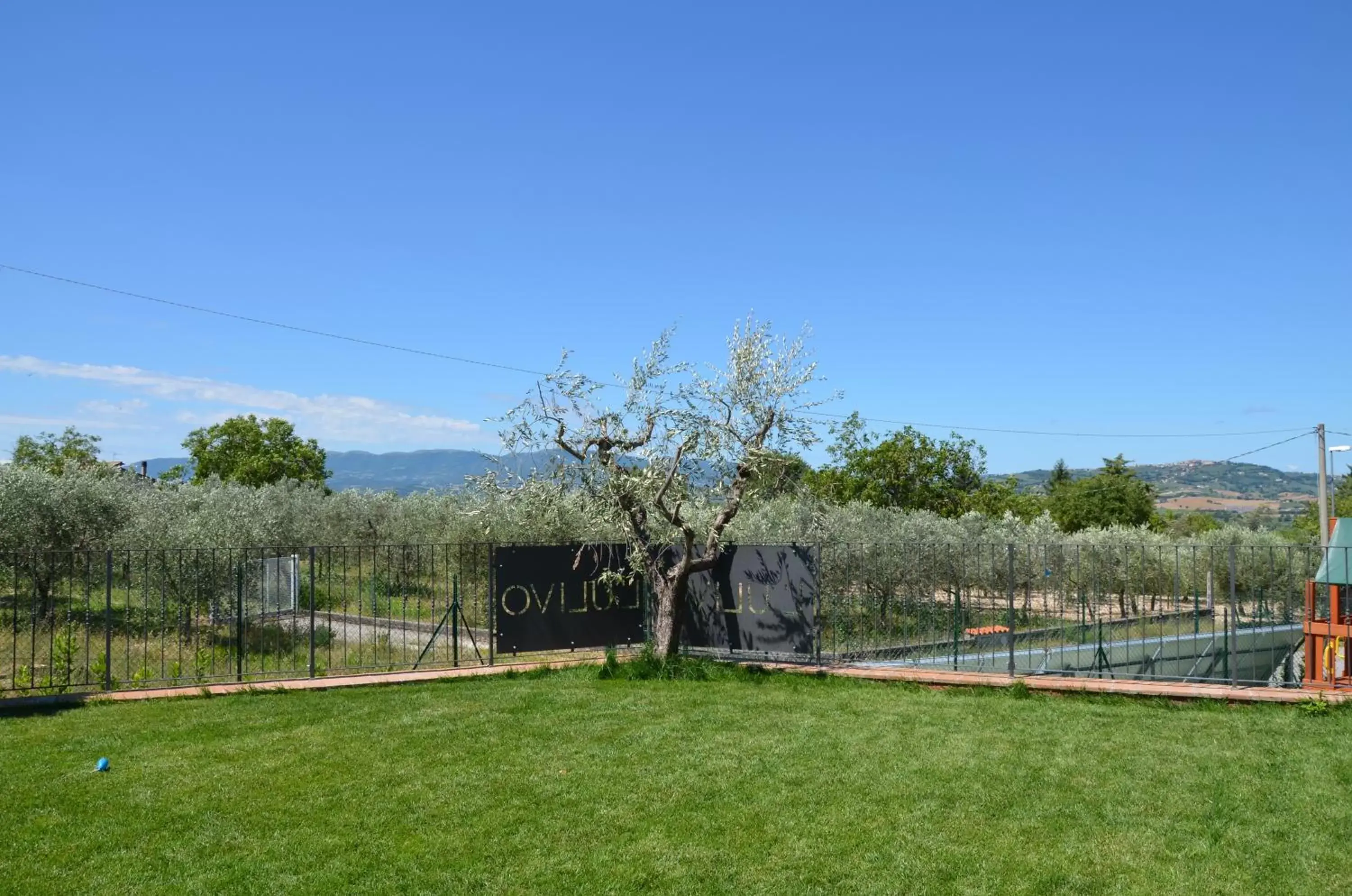 Garden in Il Borgo Dell'Ulivo