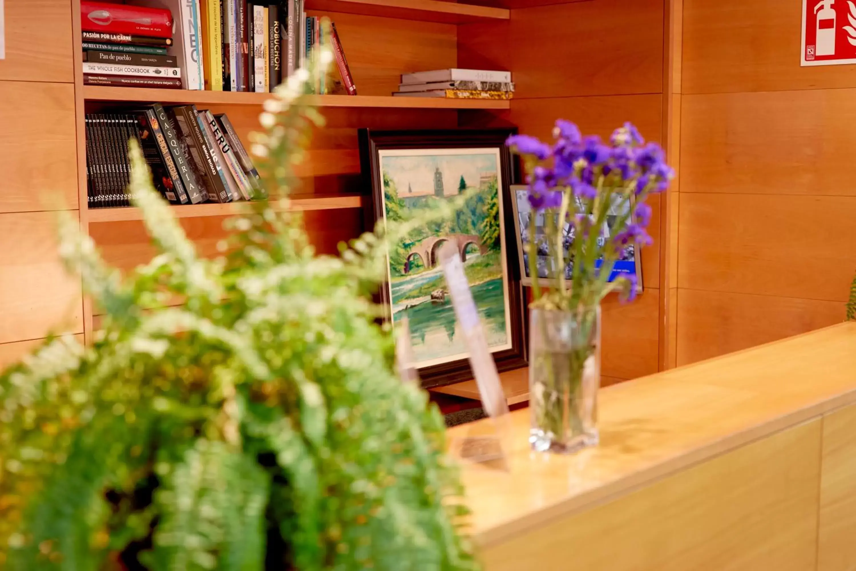 Library in Hotel Casa Azcona