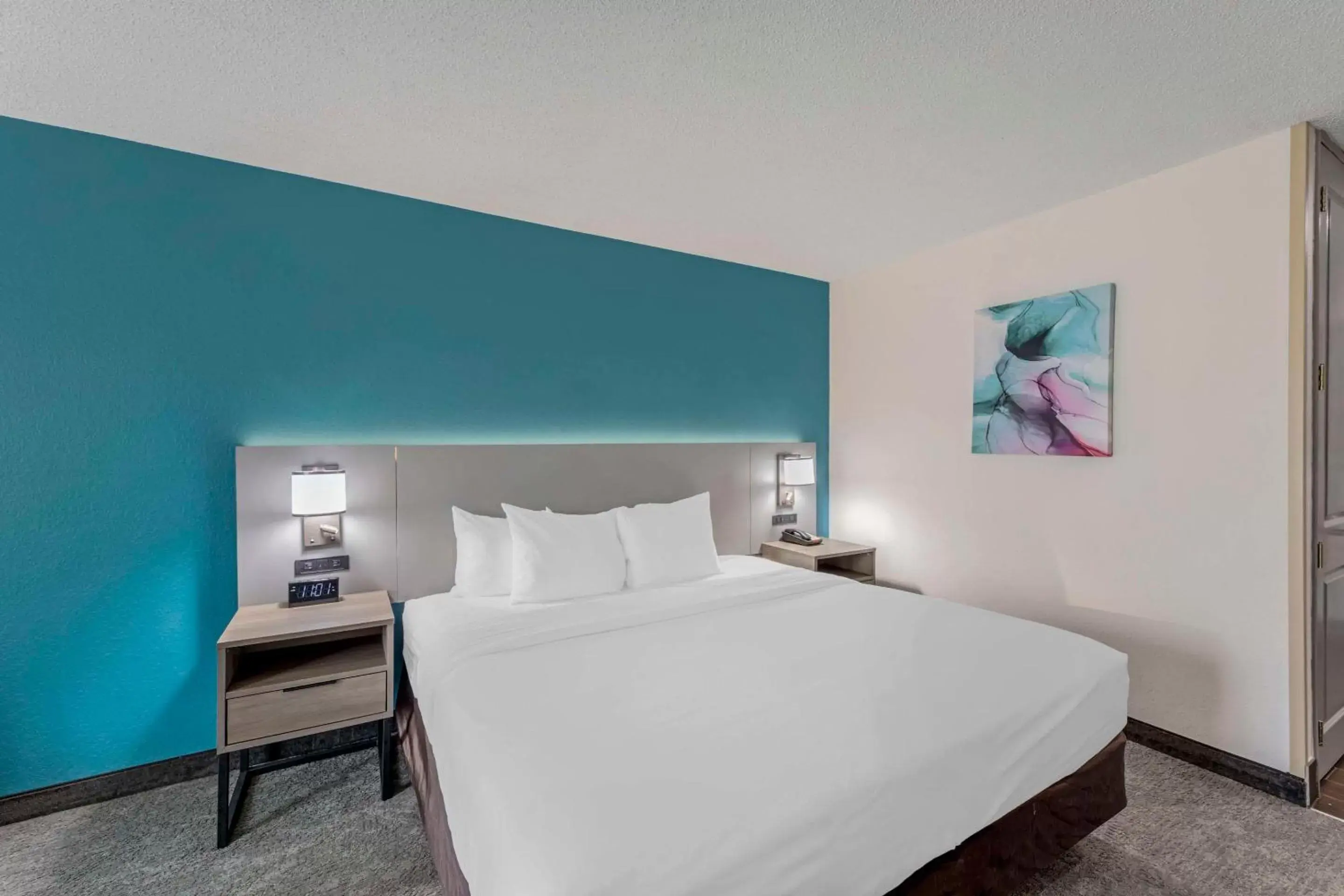 King Room - Non-Smoking in Comfort Inn US Hwy 80 King Room - Non-Smoking in Comfort Inn US Hwy 80