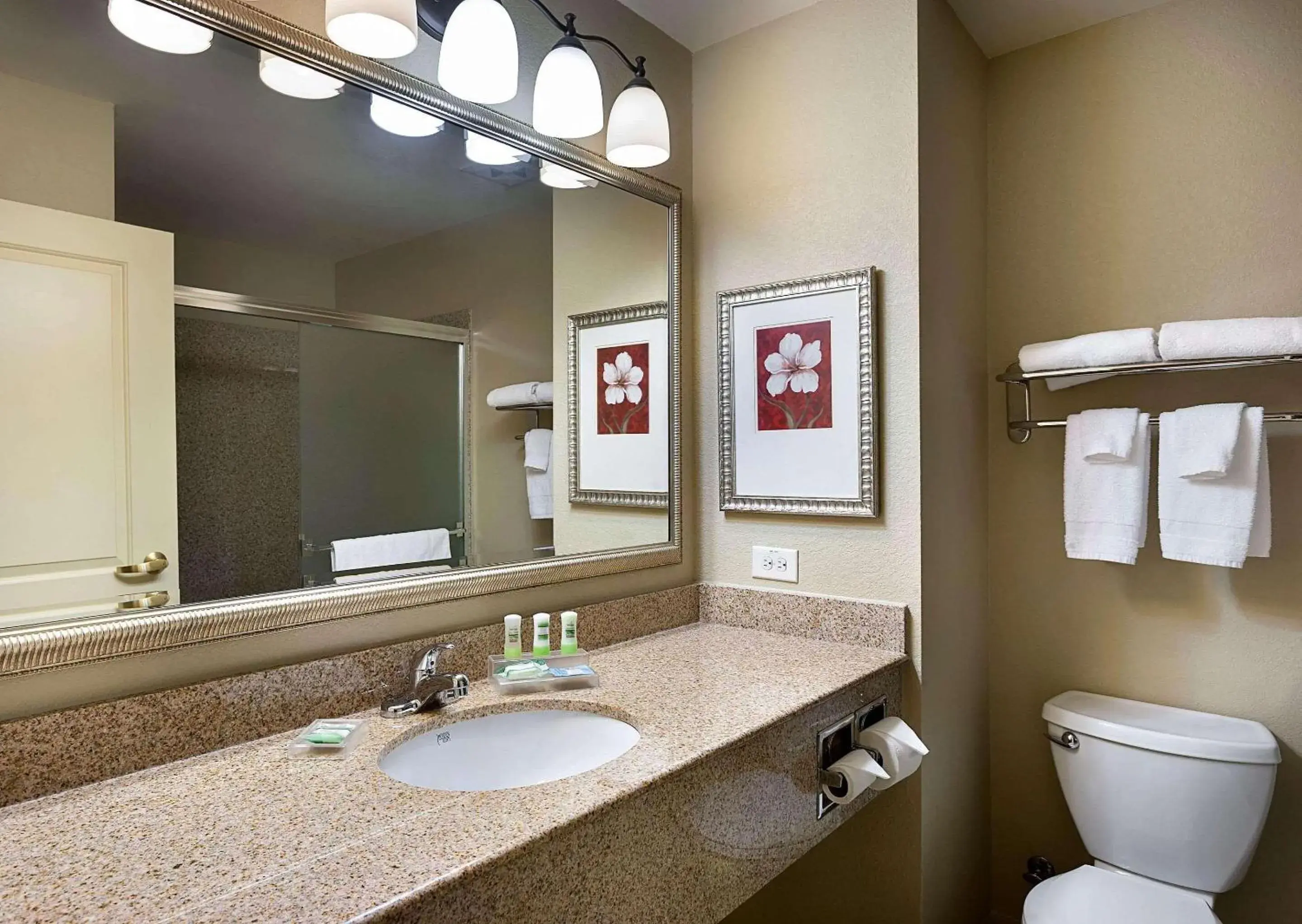 Bedroom, Bathroom in Country Inn & Suites by Radisson, Concord (Kannapolis), NC
