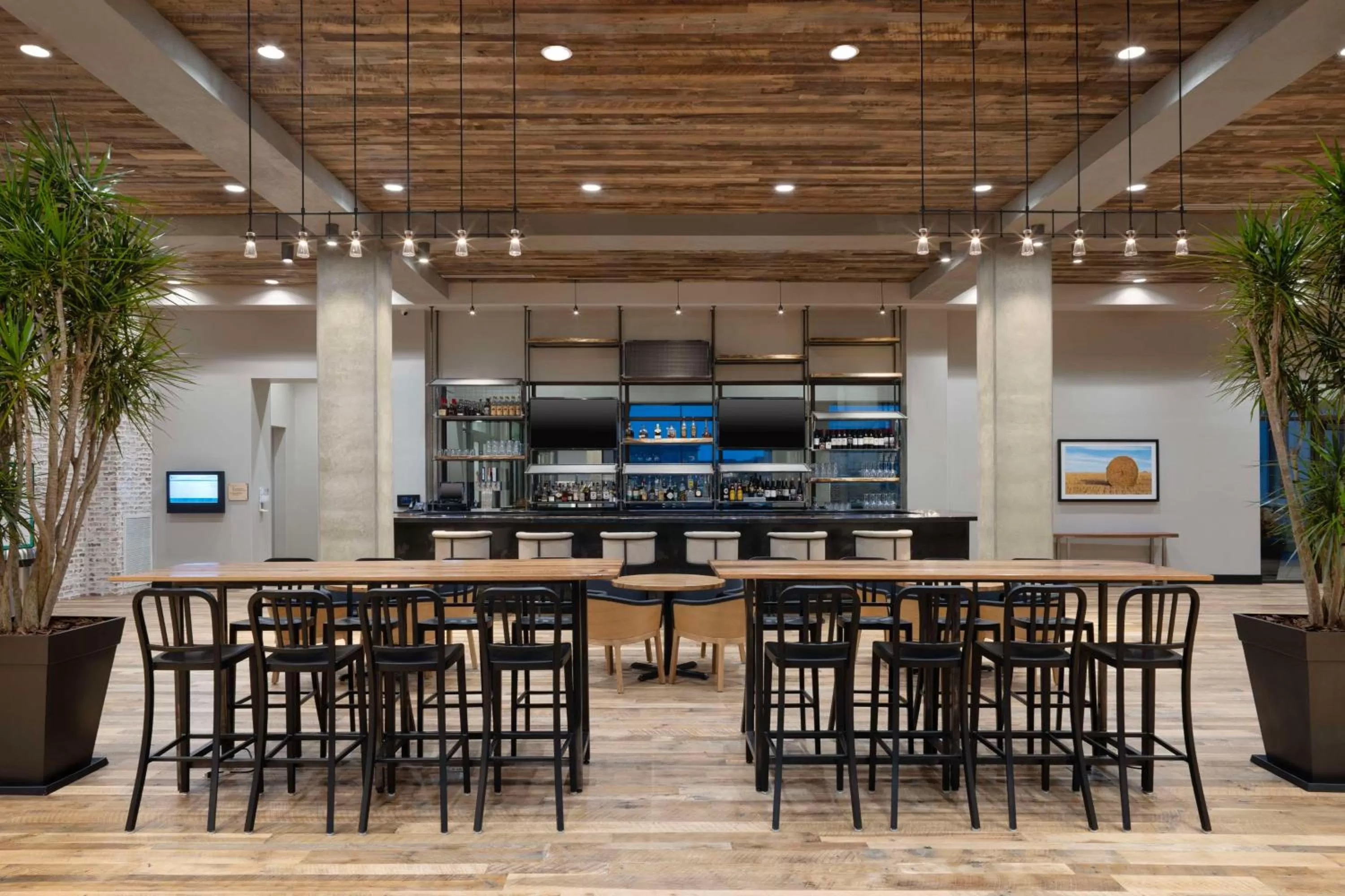 Lounge or bar in Embassy Suites By Hilton Bowling Green