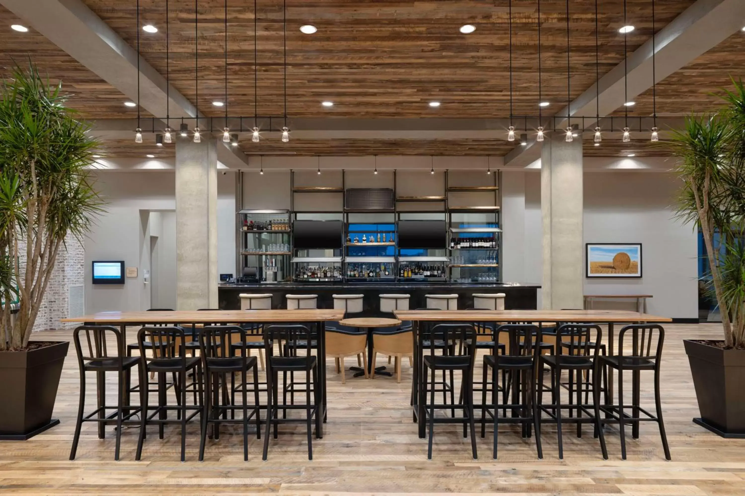 Lounge or bar in Embassy Suites By Hilton Bowling Green Lounge or bar in Embassy Suites By Hilton Bowling Green