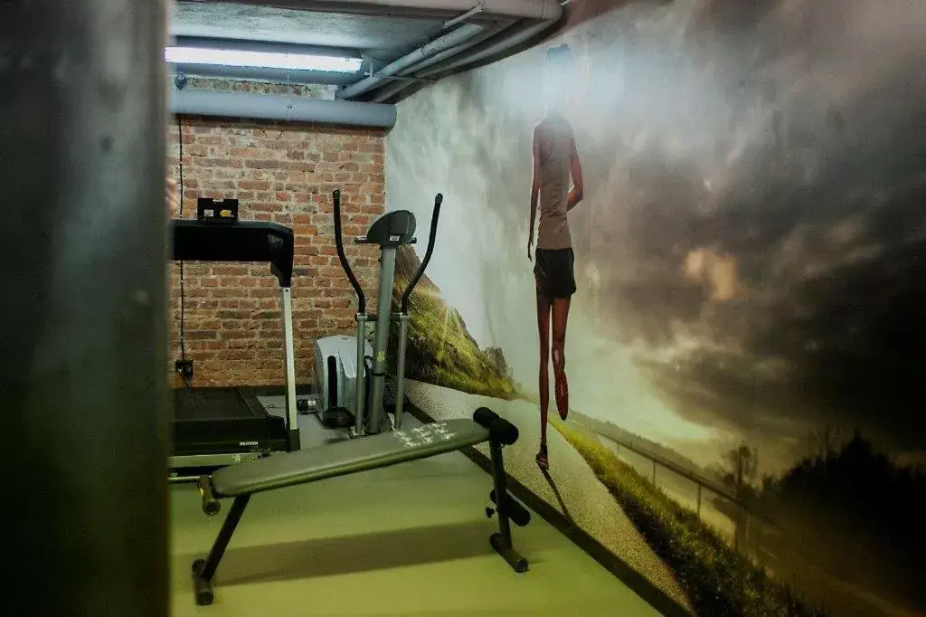 Fitness centre/facilities, Fitness Center/Facilities in Mercure Lublin Centrum